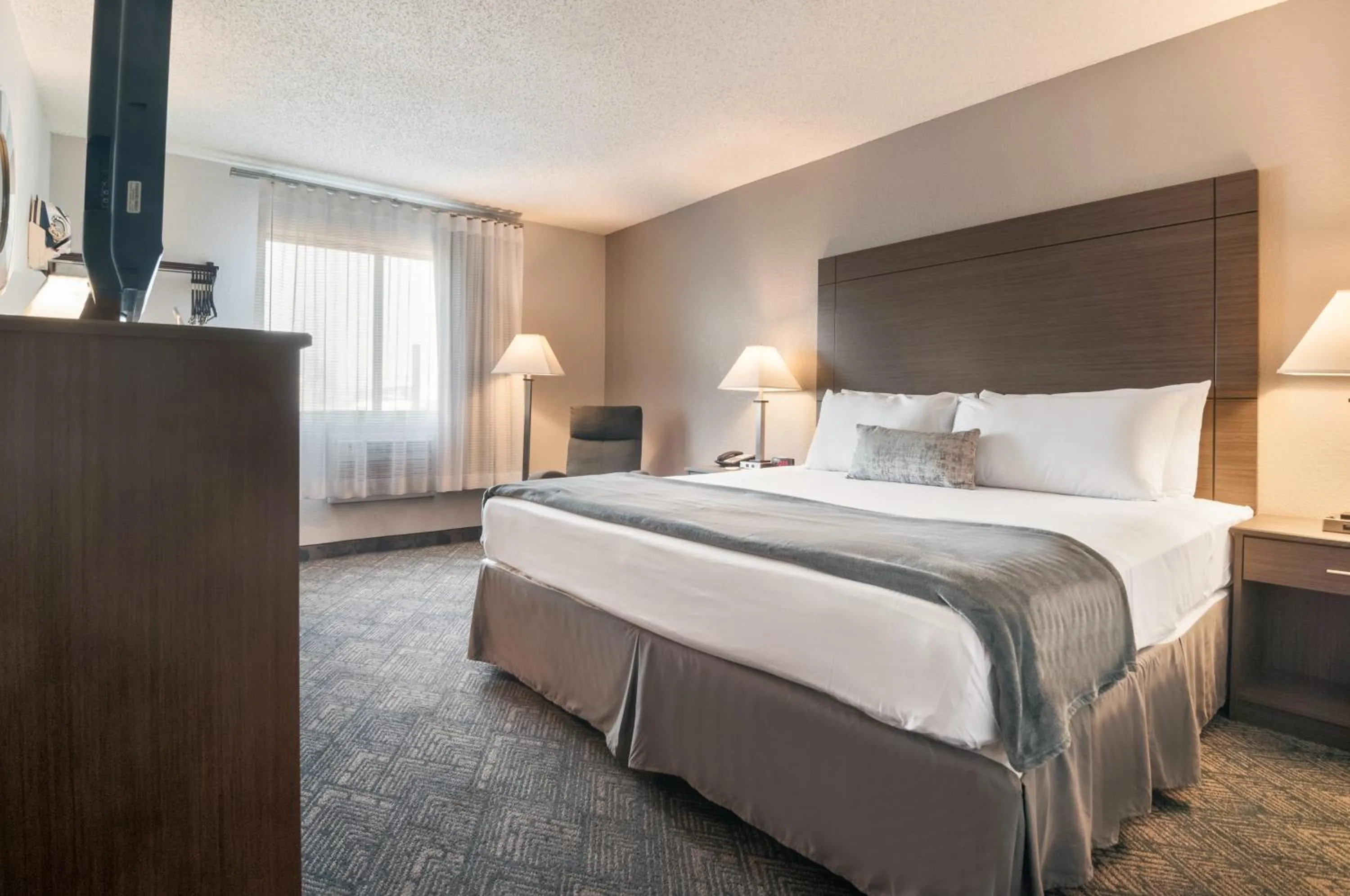 Bed in American Inn & Suites Metro Airport