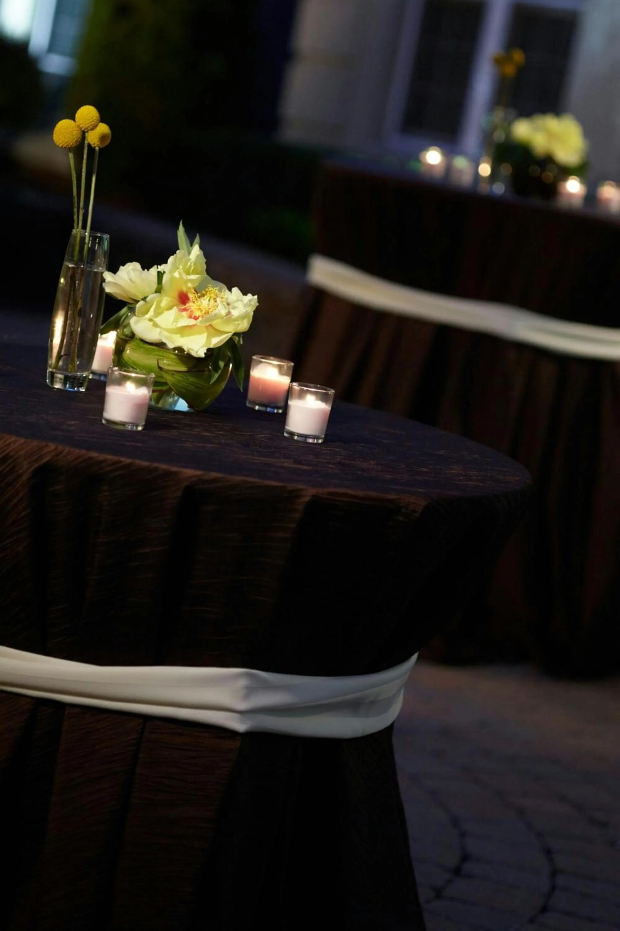 Meeting/conference room in The Del Monte Lodge Renaissance Rochester Hotel & Spa