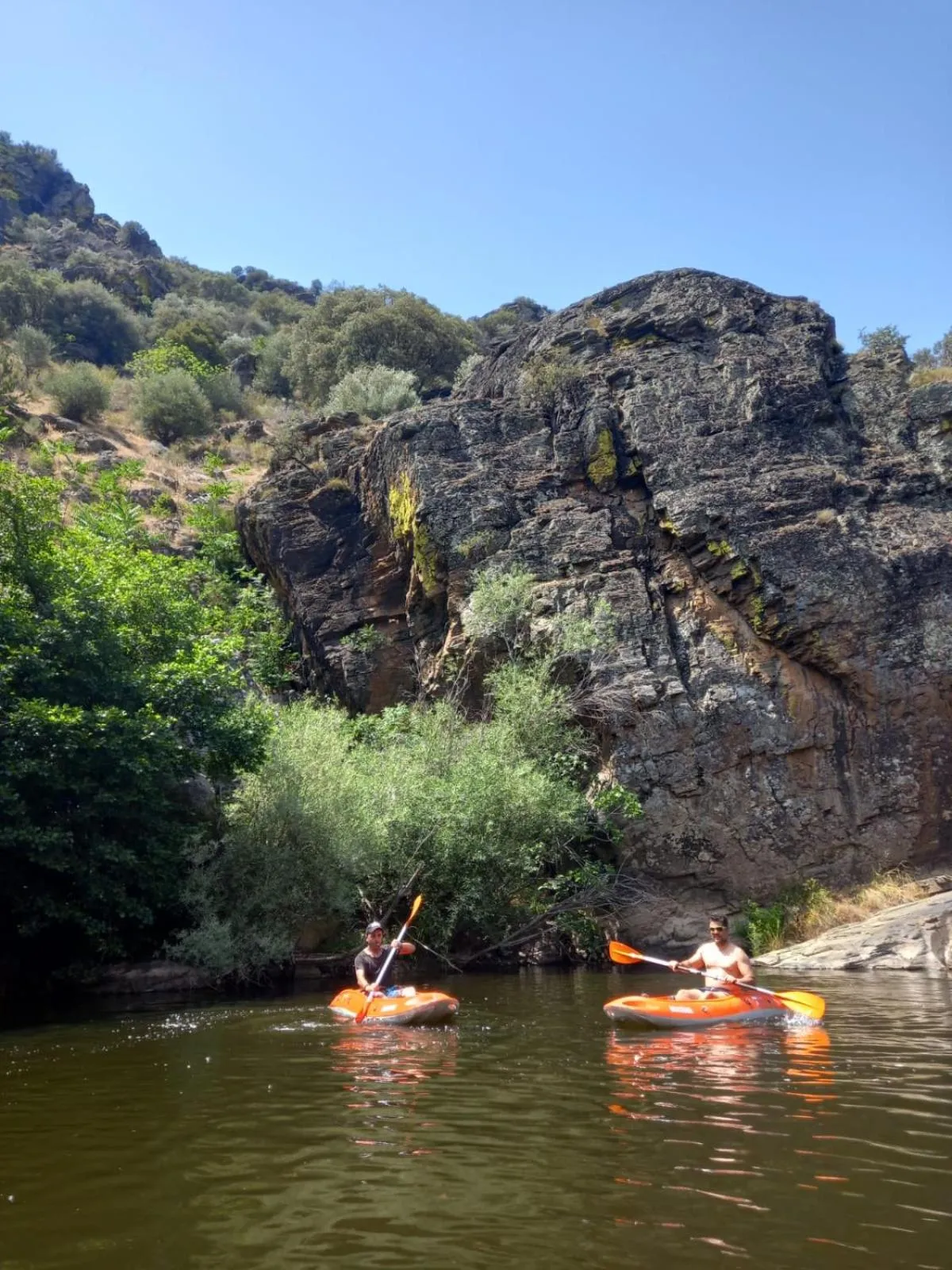 Hotel Trindade Coelho