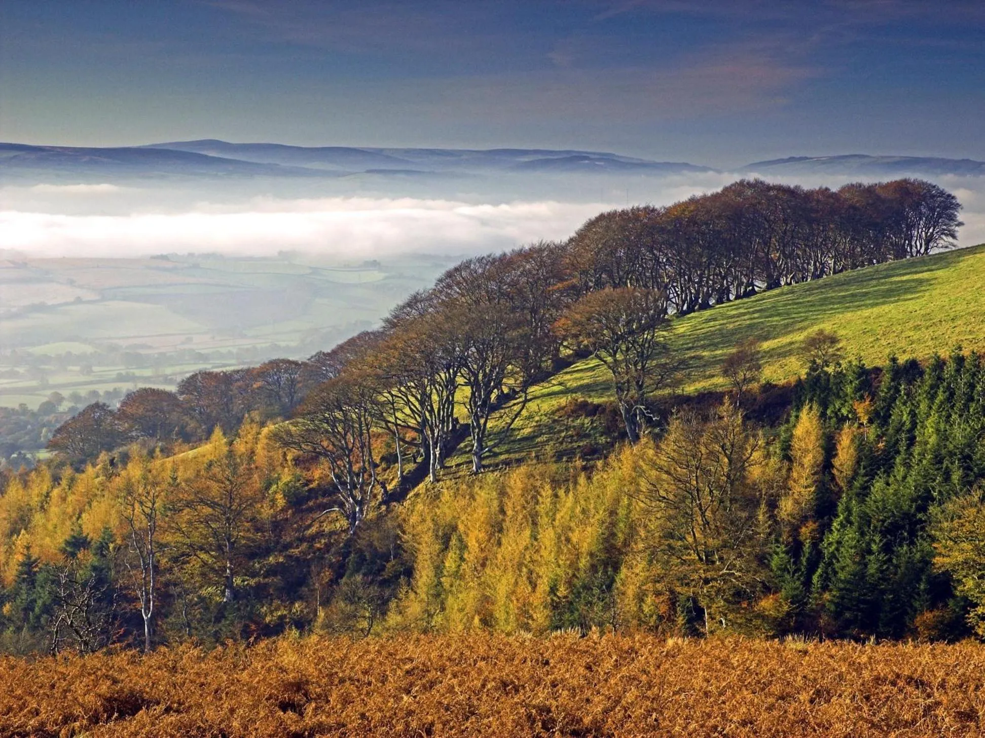 Other in The Hood Arms