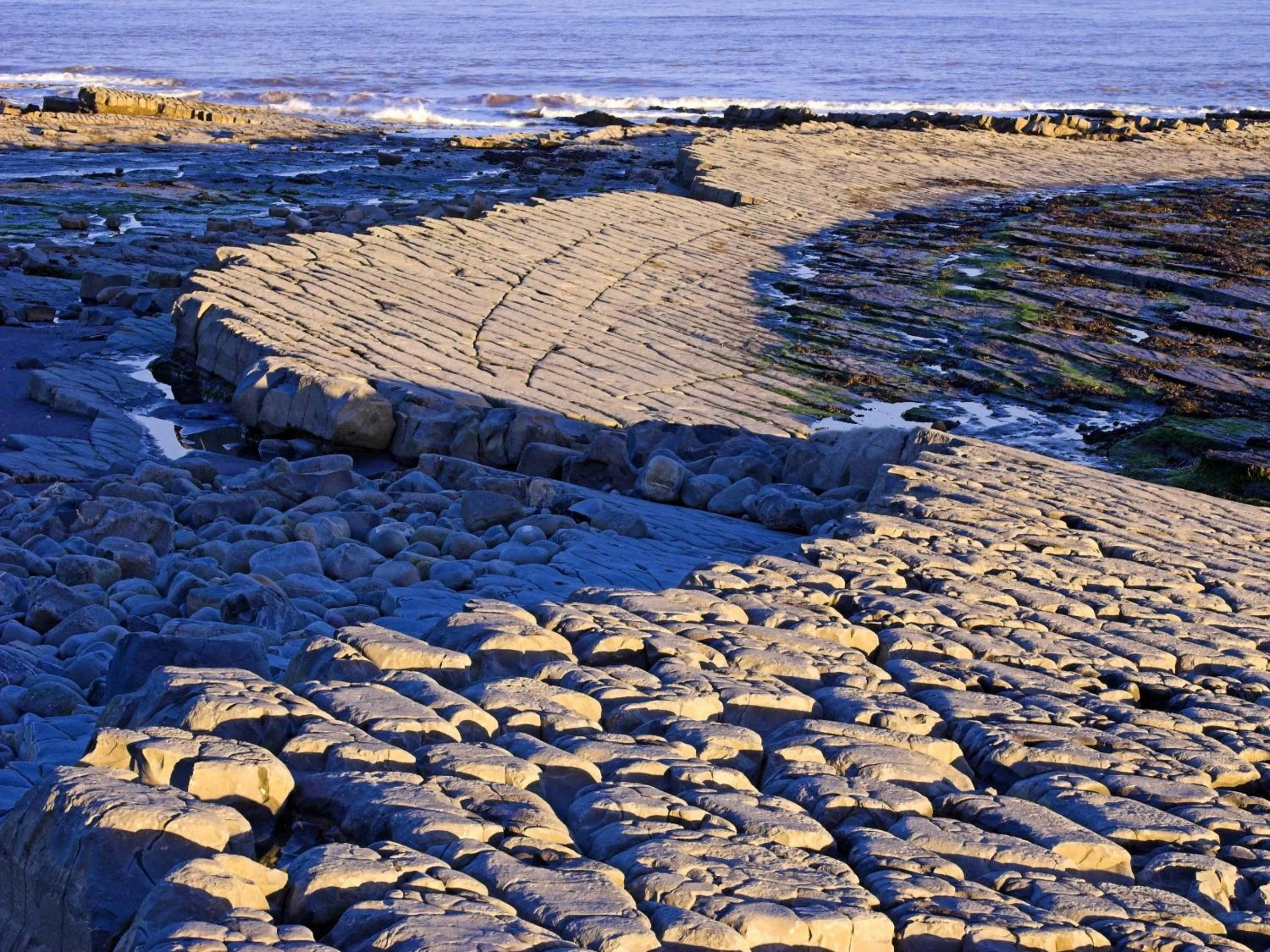 Other in The Hood Arms