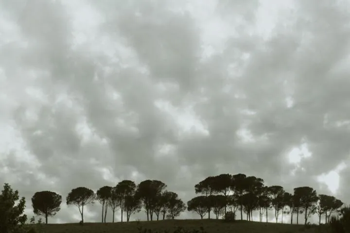 Tenuta Agricola Fonte Di Papa