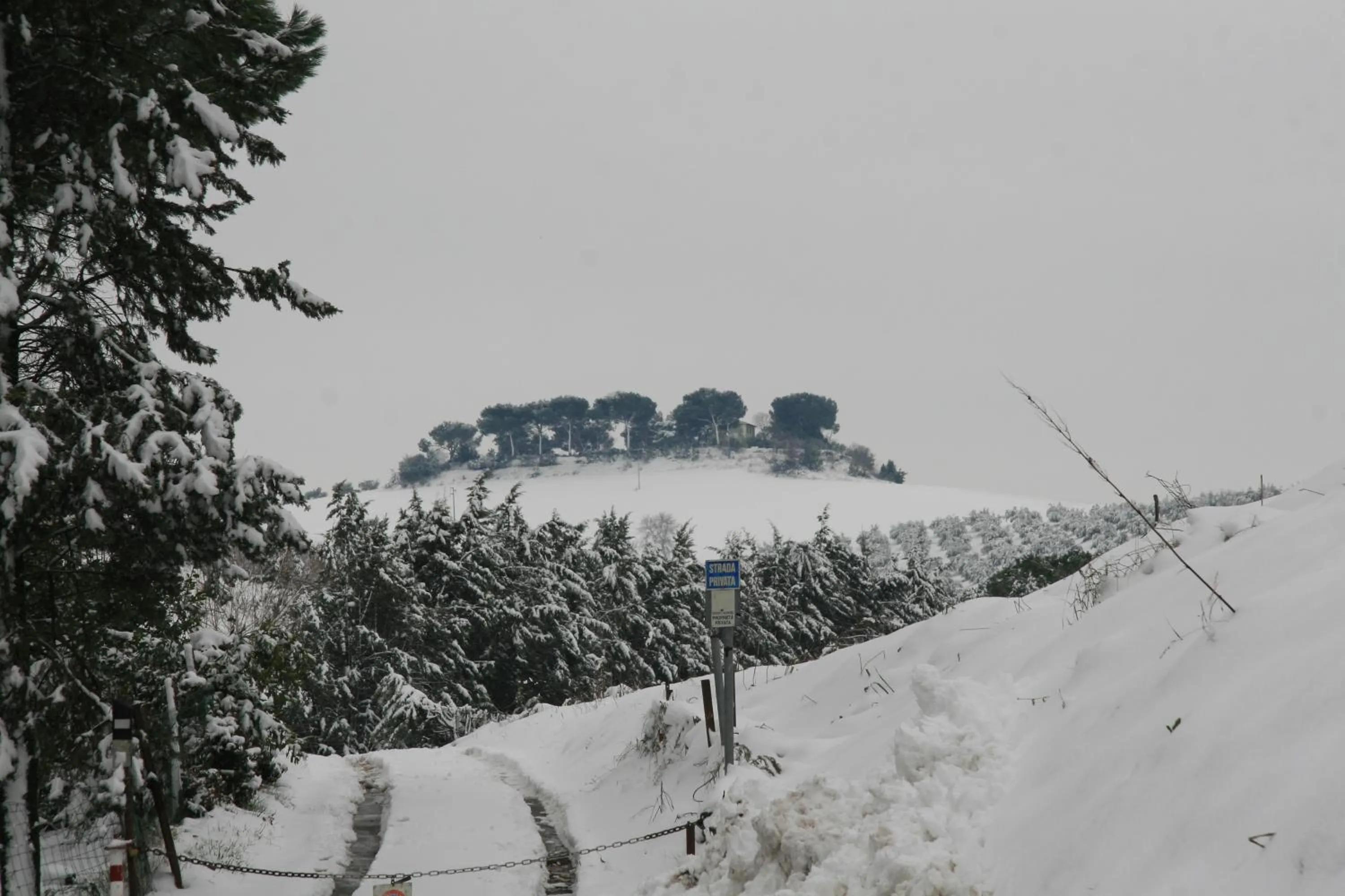 Mountain view in Tenuta Agricola Fonte Di Papa