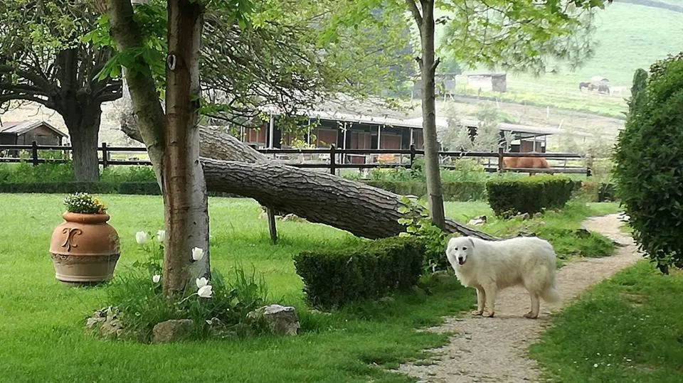 Garden in Tenuta Agricola Fonte Di Papa