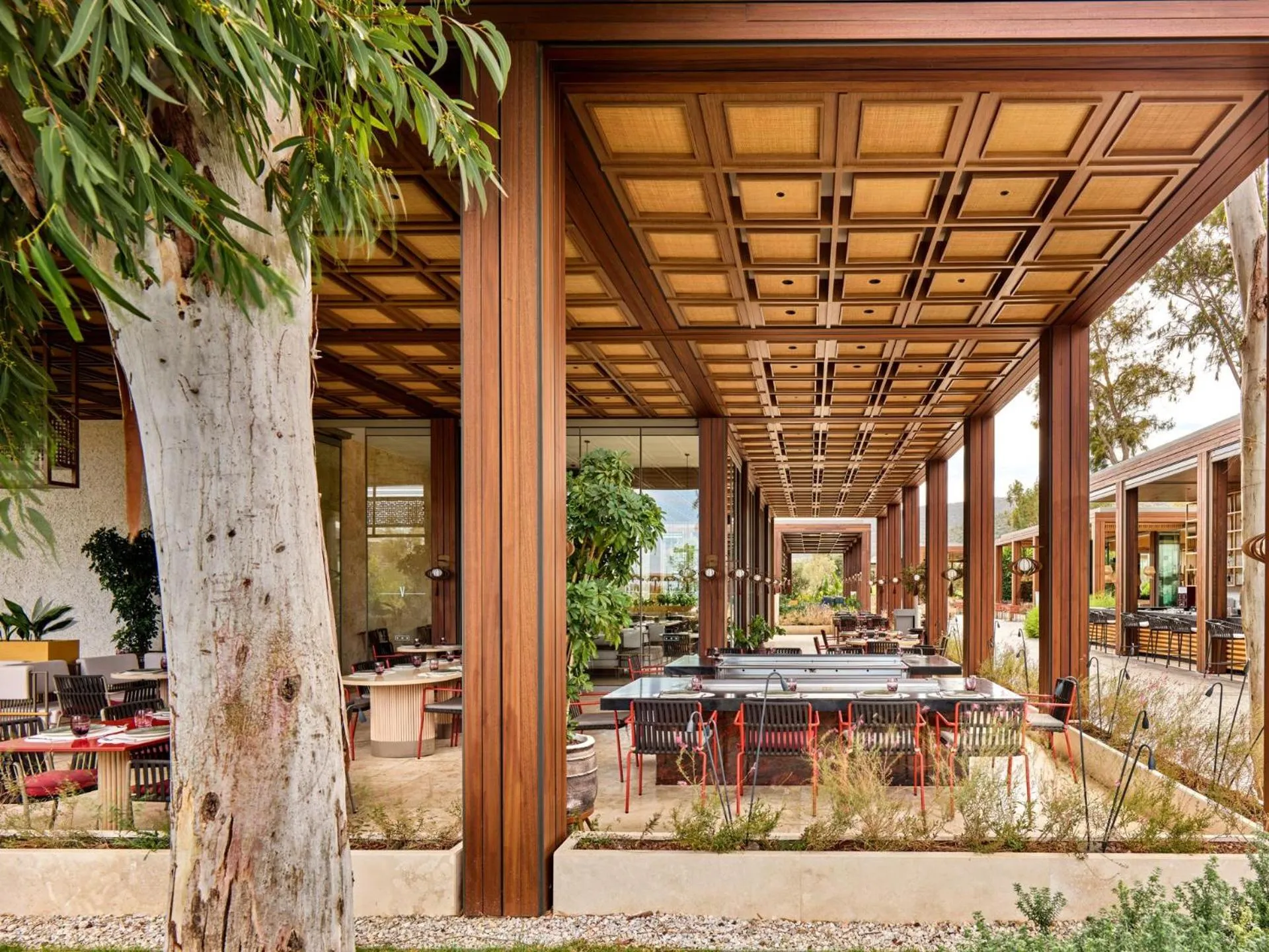 Restaurant/places to eat in Voyage Torba Hotel