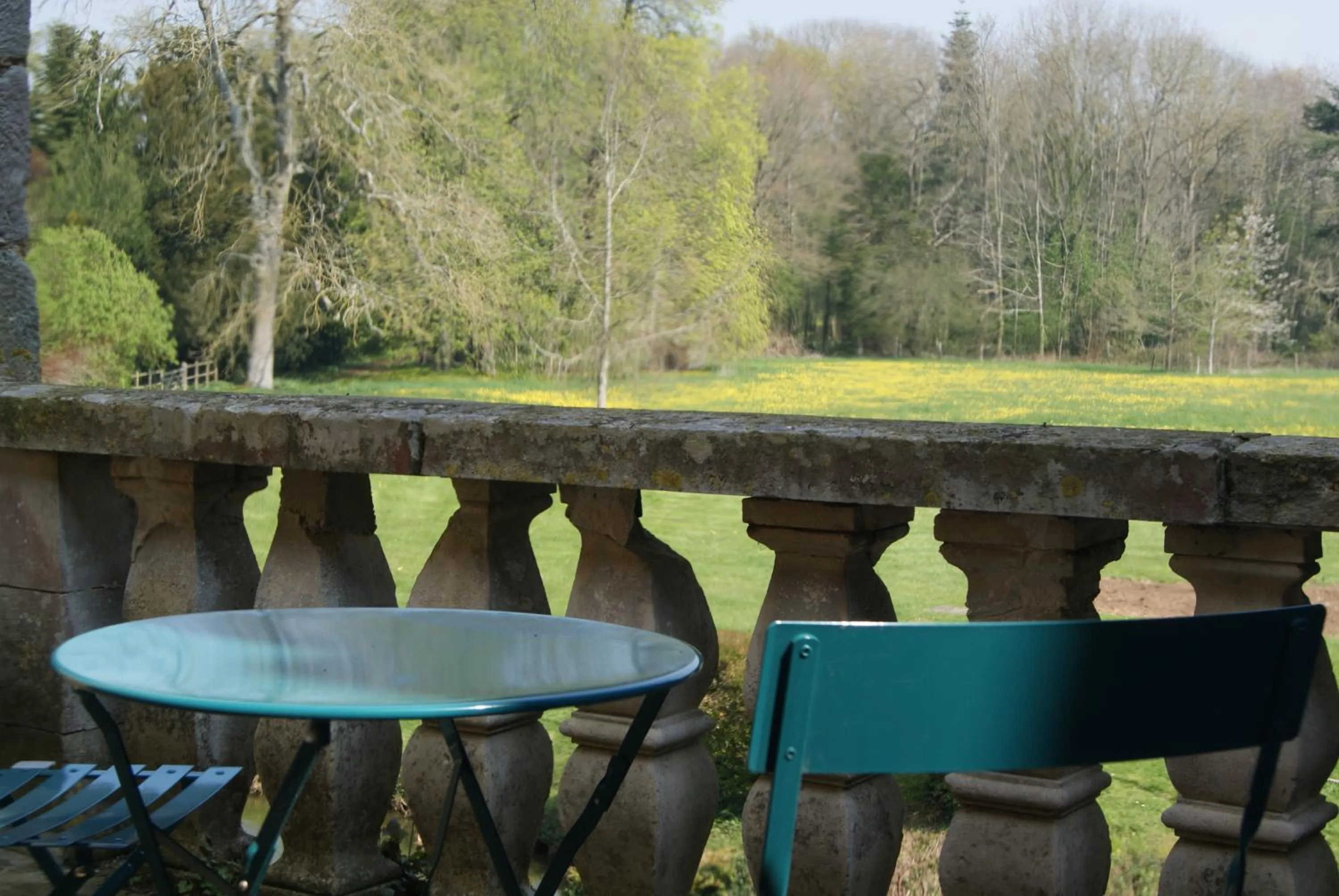 Natural landscape in Chateau du Blanc Buisson