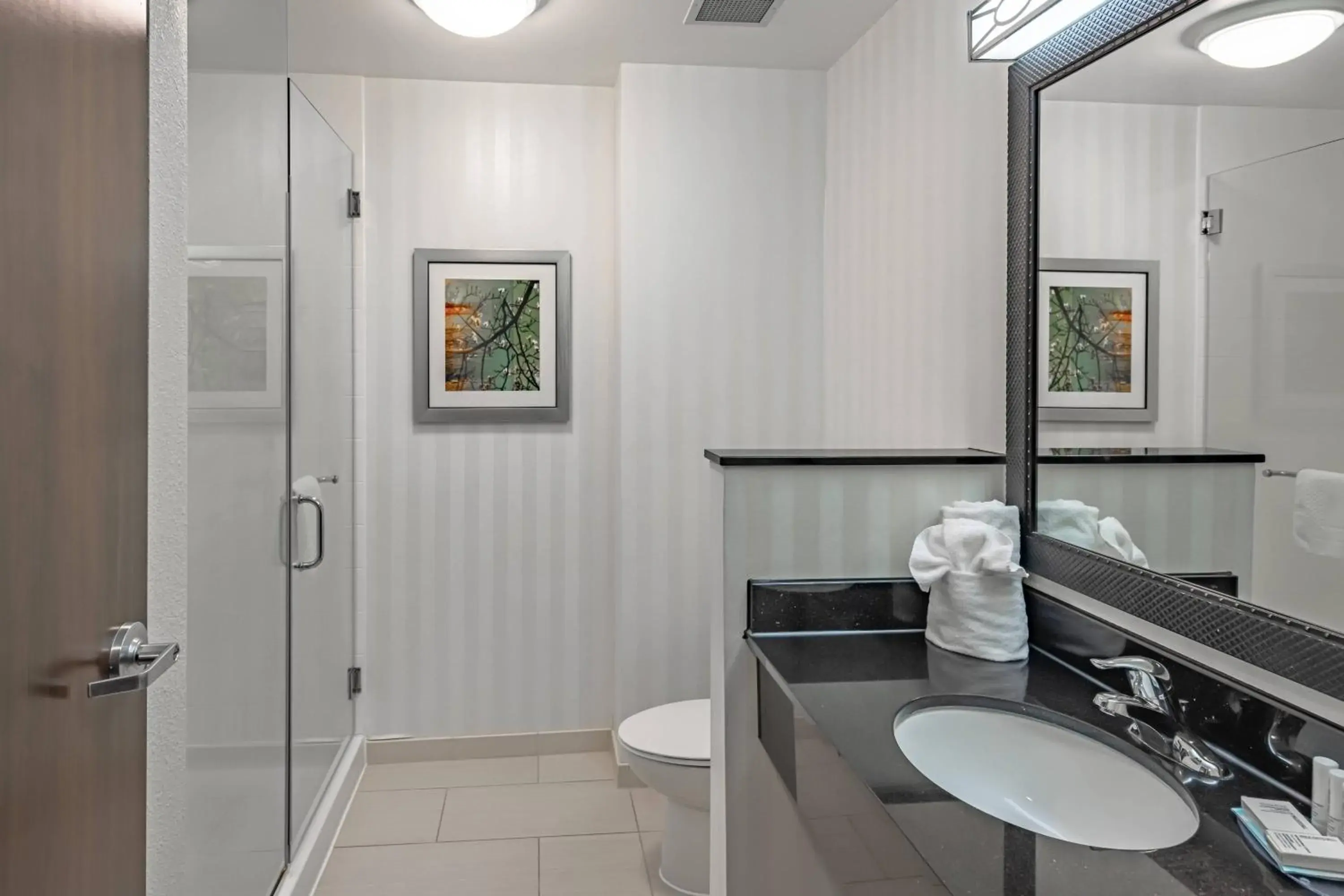 King Room with Transfer Shower - Mobility and Hearing Accessible in Fairfield Inn & Suites by Marriott New Braunfels King Room with Transfer Shower - Mobility and Hearing Accessible in Fairfield Inn & Suites by Marriott New Braunfels