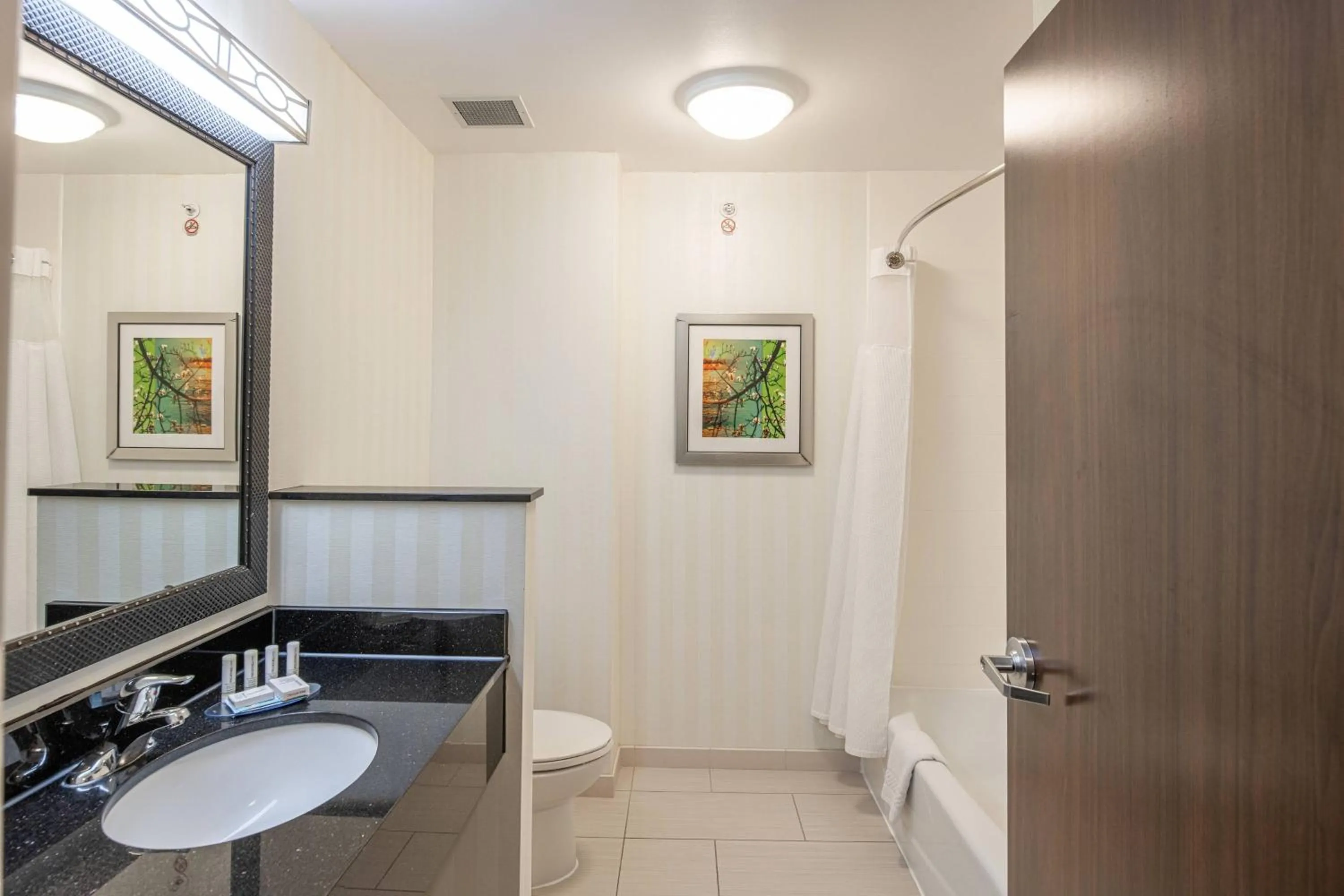 Bathroom in Fairfield Inn & Suites by Marriott New Braunfels