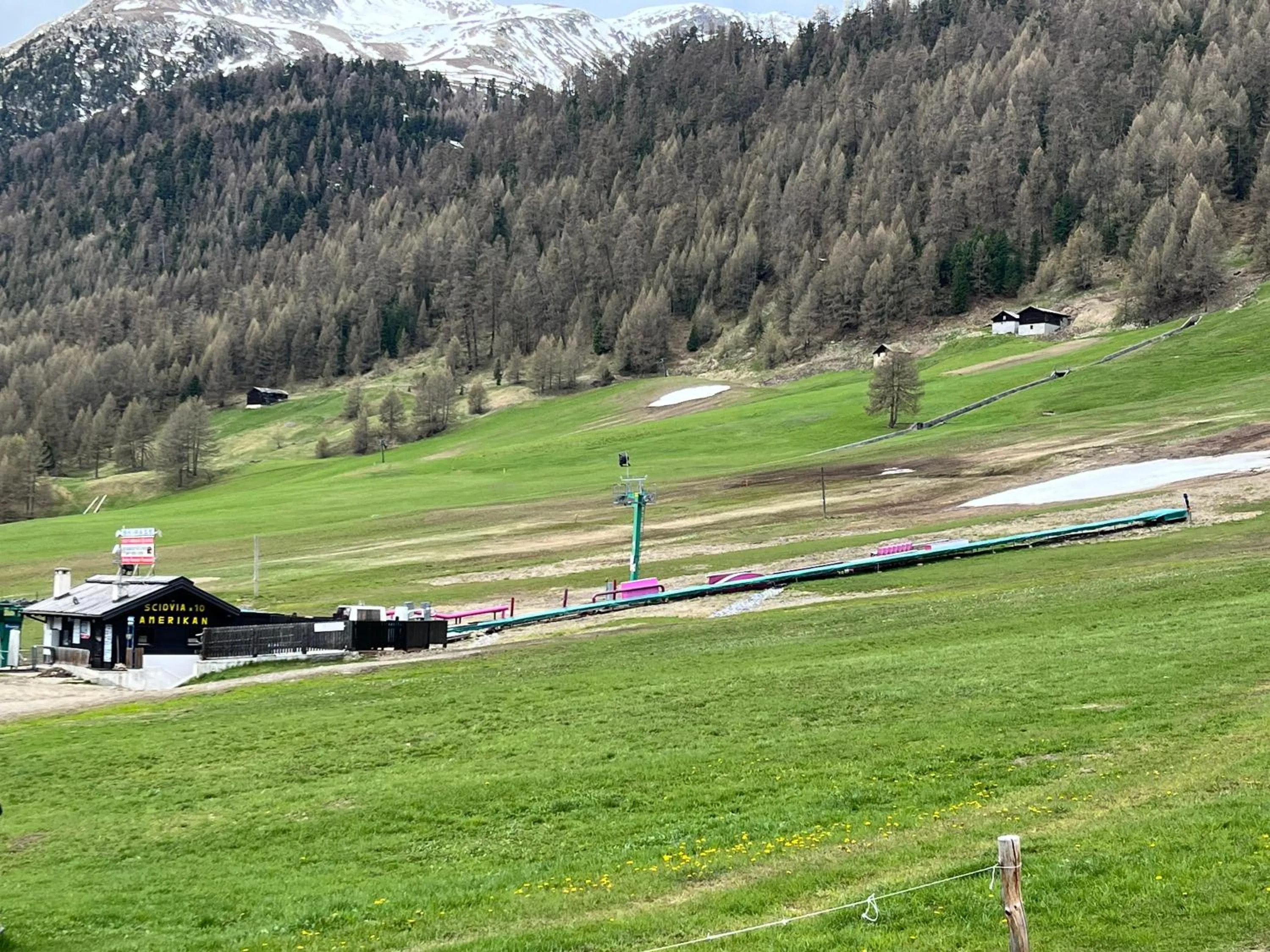 Fior d'Alpe Apartment