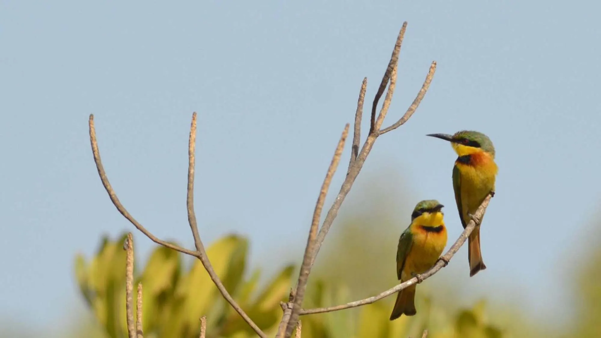 Natural landscape in Les Manguiers de Guereo