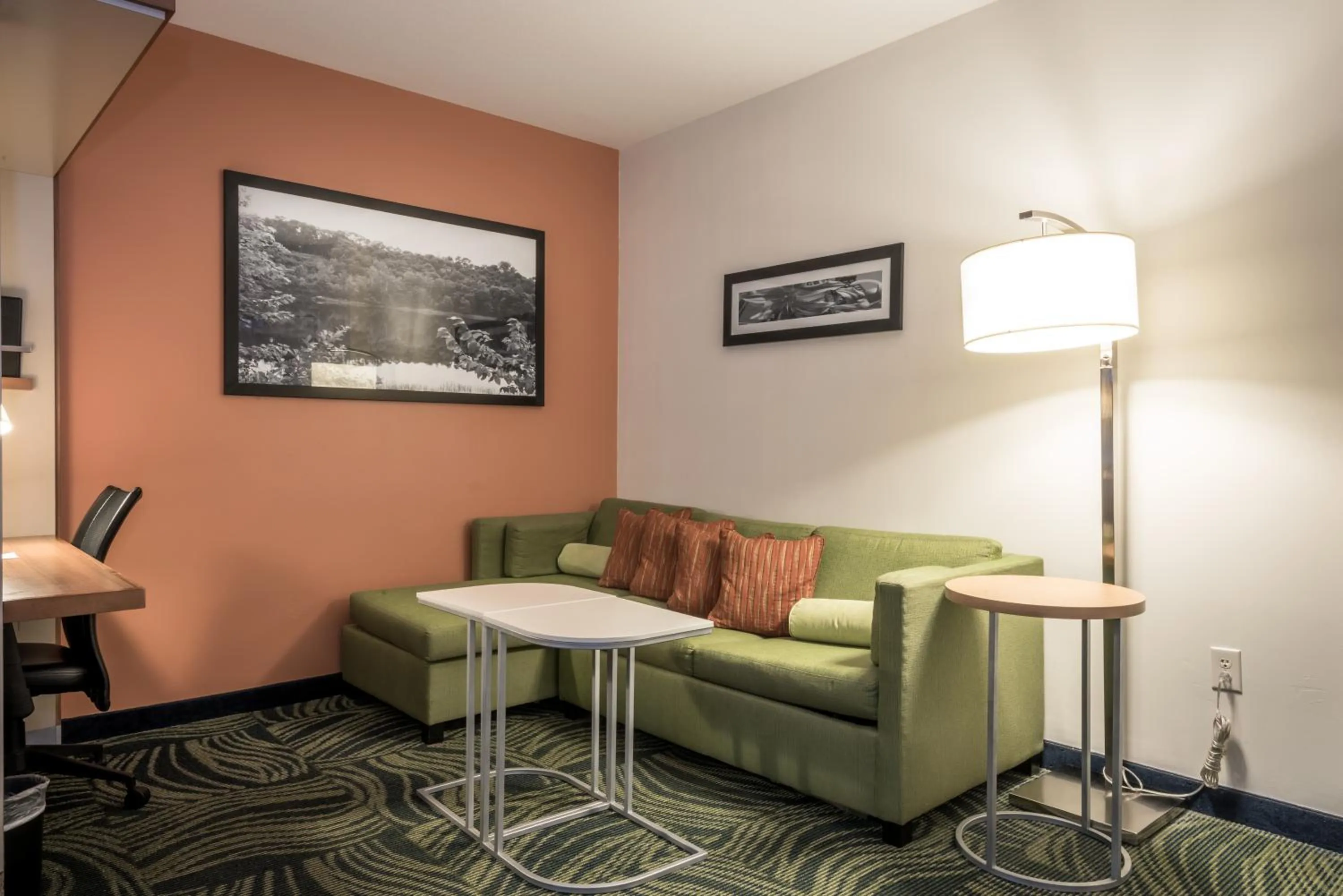 SpringHill Suites Statesboro University Area