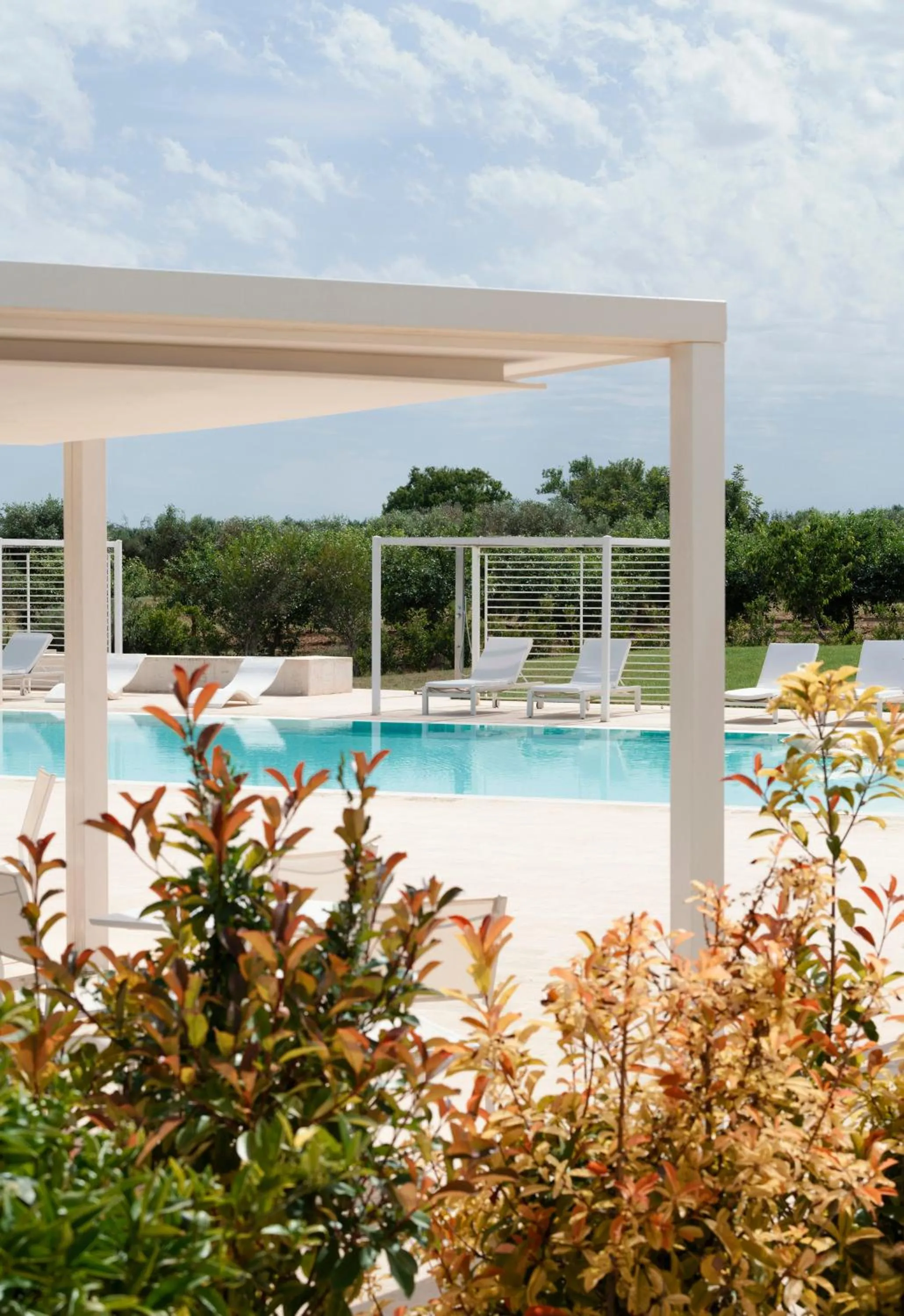 Swimming pool in Masseria Elysium