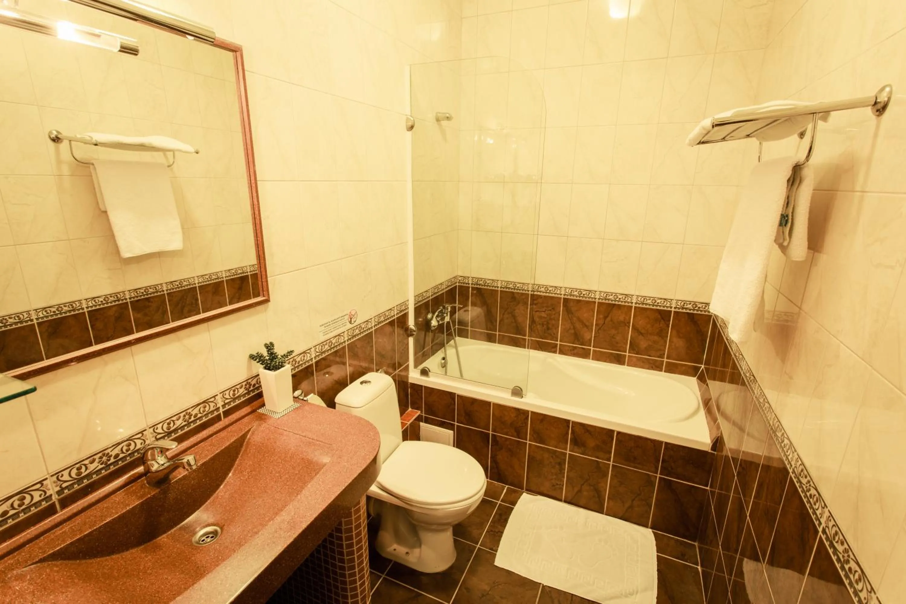 Shower in Viva Hotel