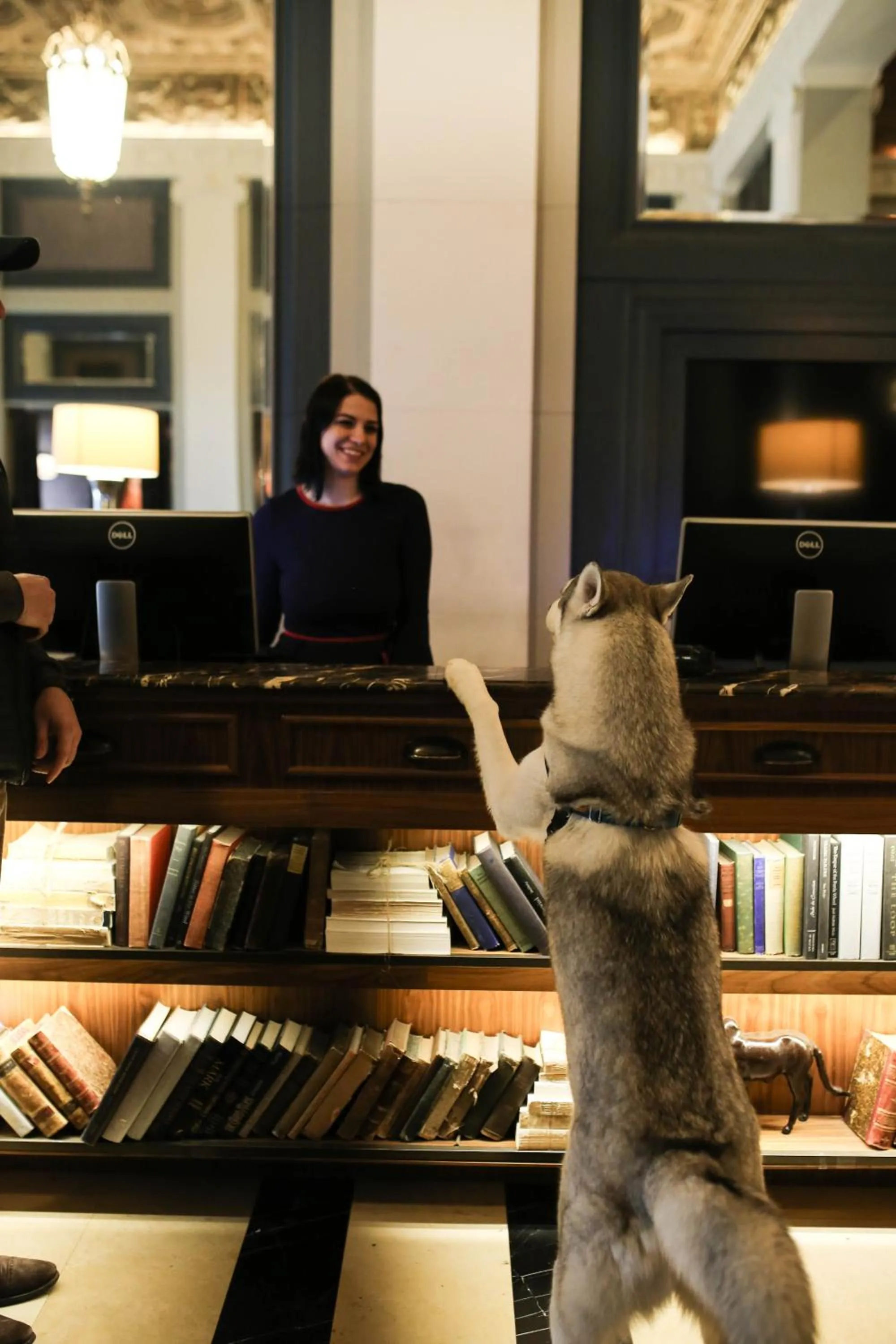 Pets in Sentinel Hotel