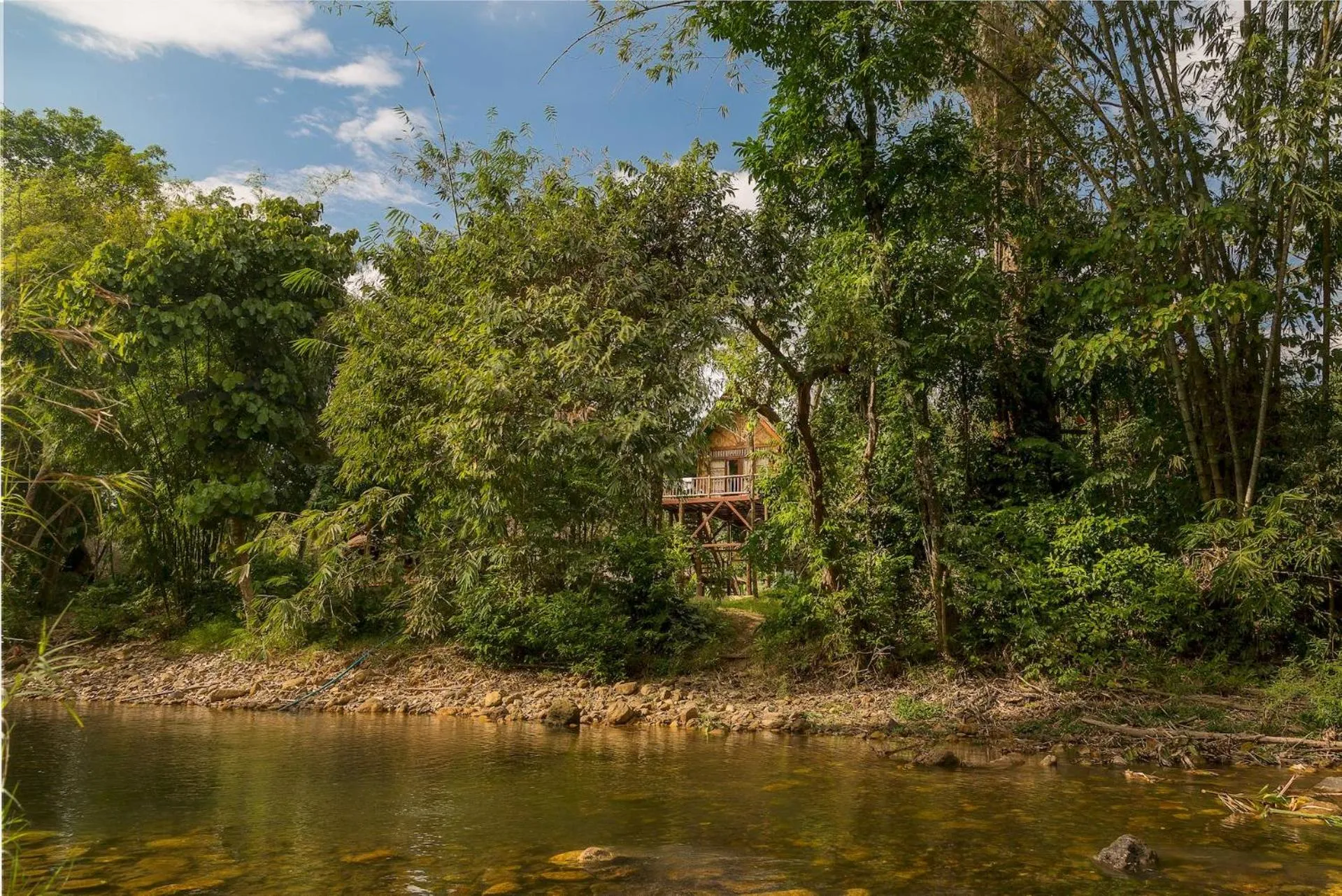 Natural landscape in Our Jungle Camp - Eco Resort