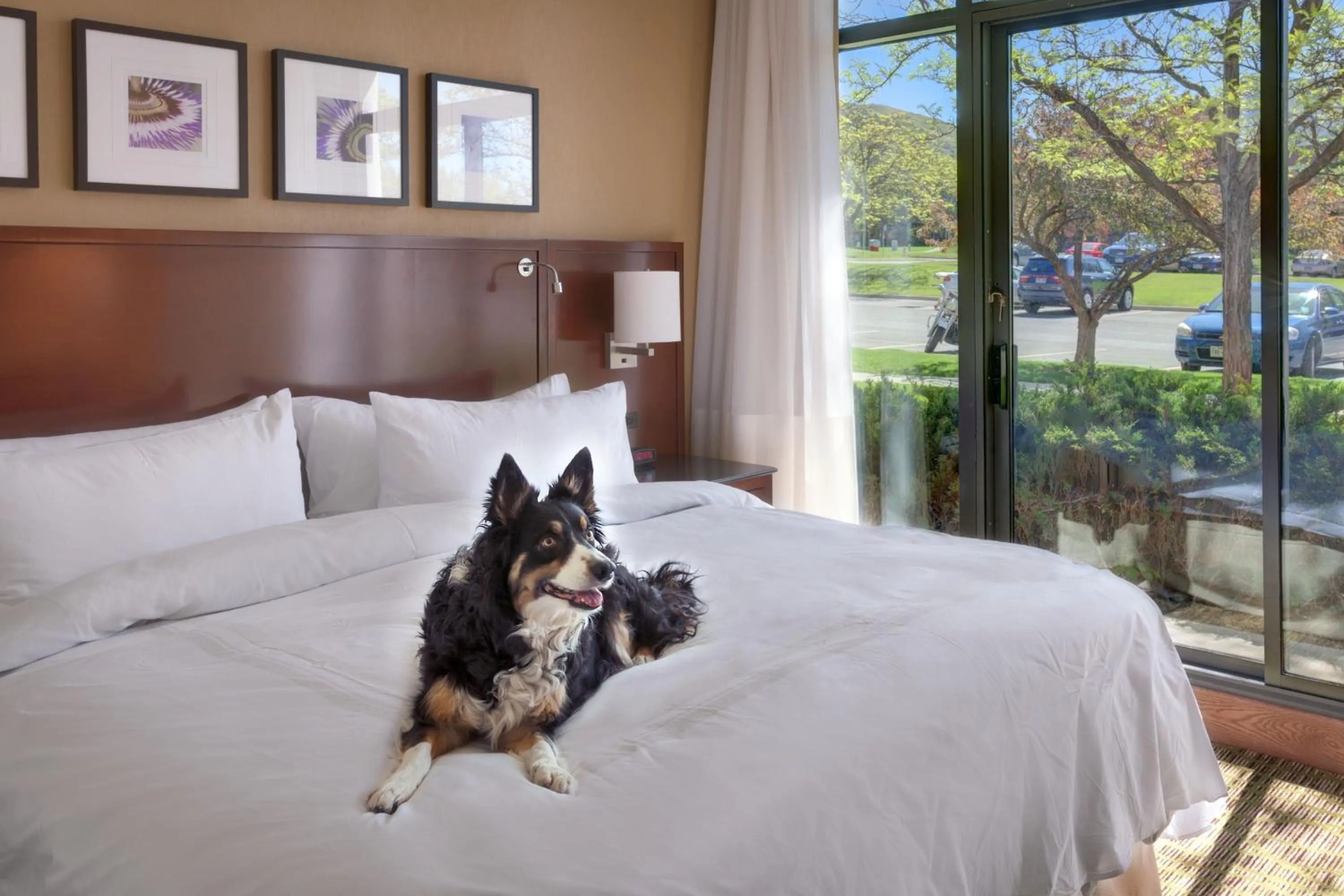 Other, Bed in Salt Lake City Marriott University Park