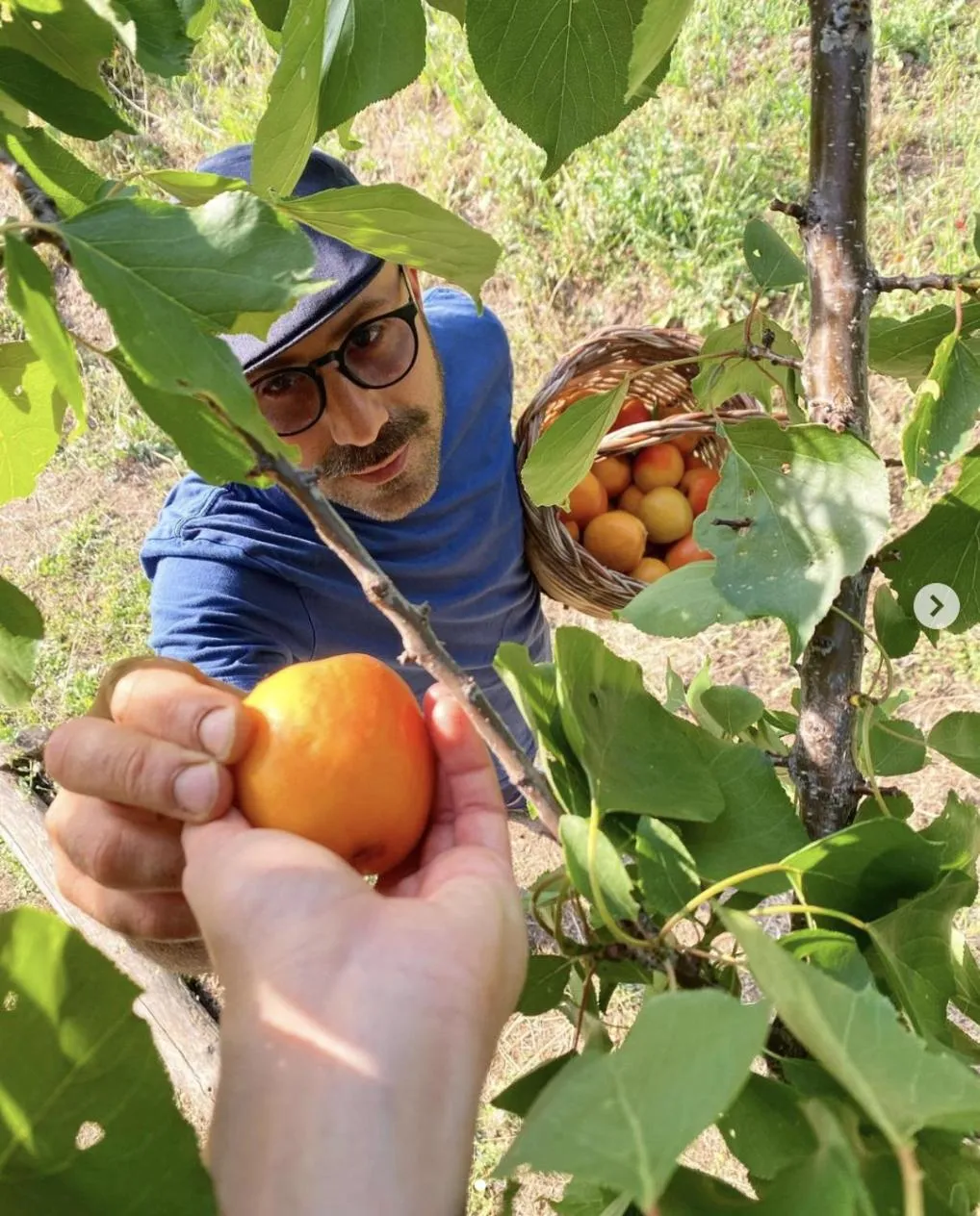 Agriturismo Il Riccio