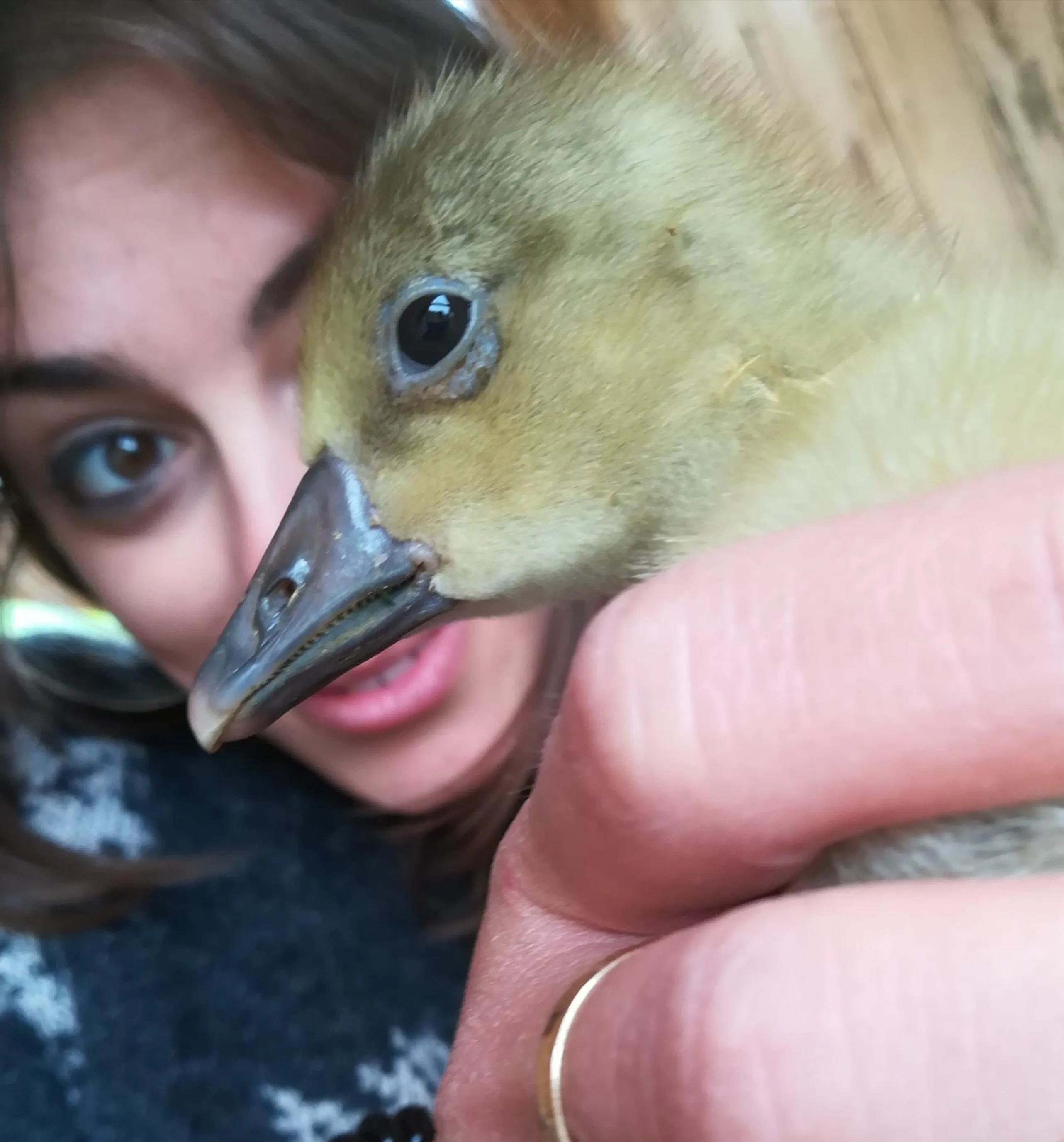 Agriturismo Il Riccio