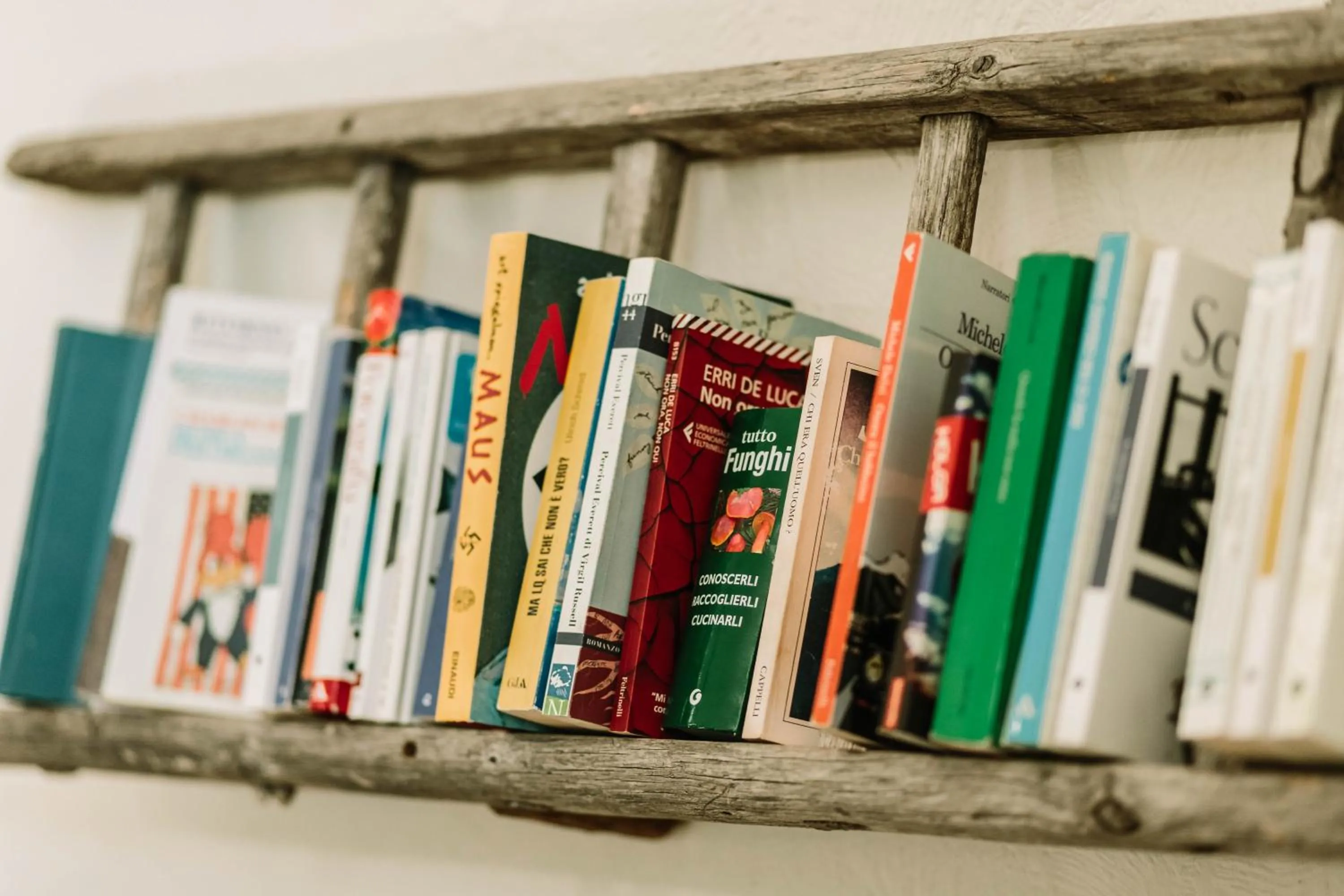 Agriturismo Il Riccio