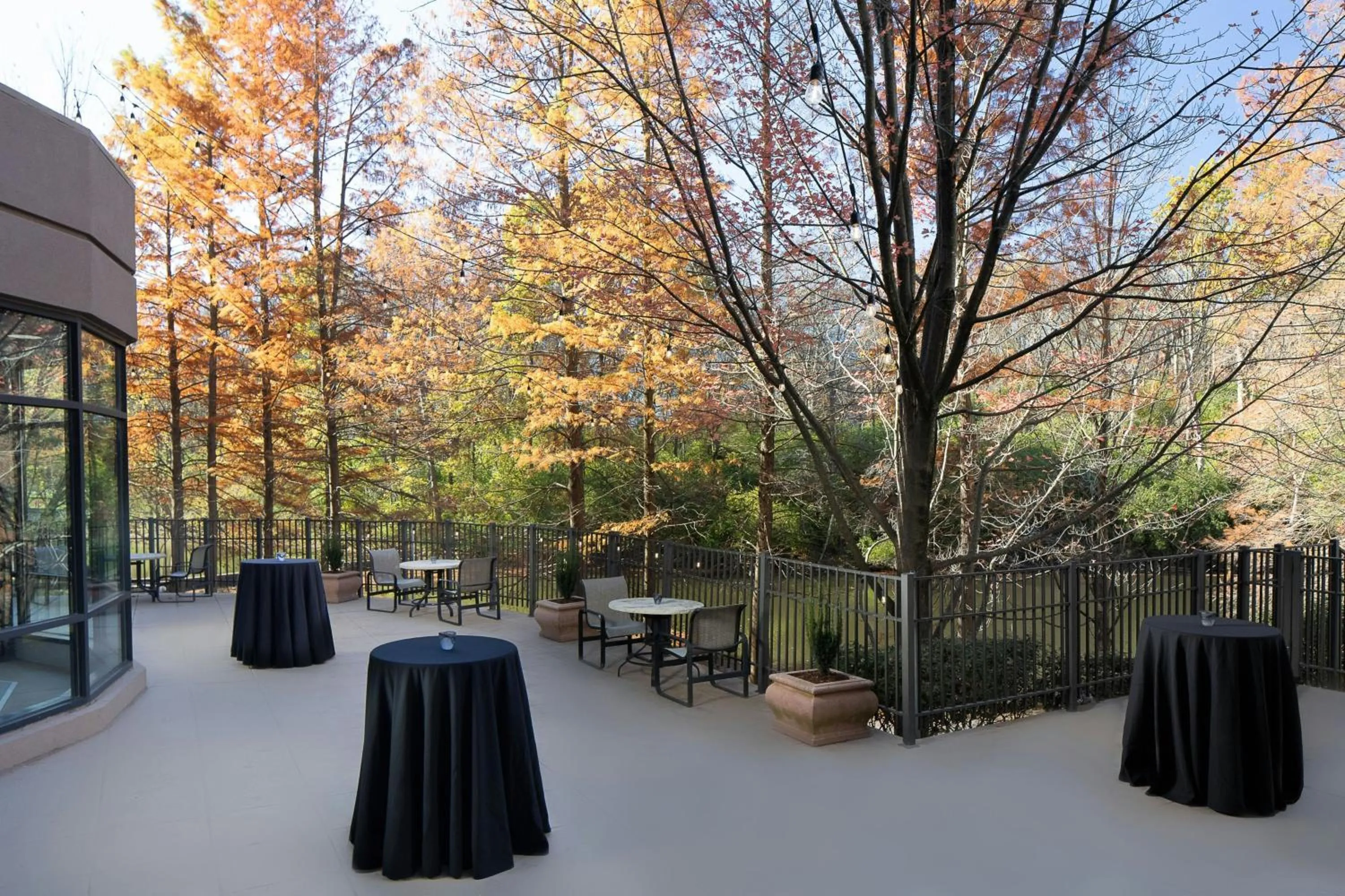 Other in Marriott St. Louis West