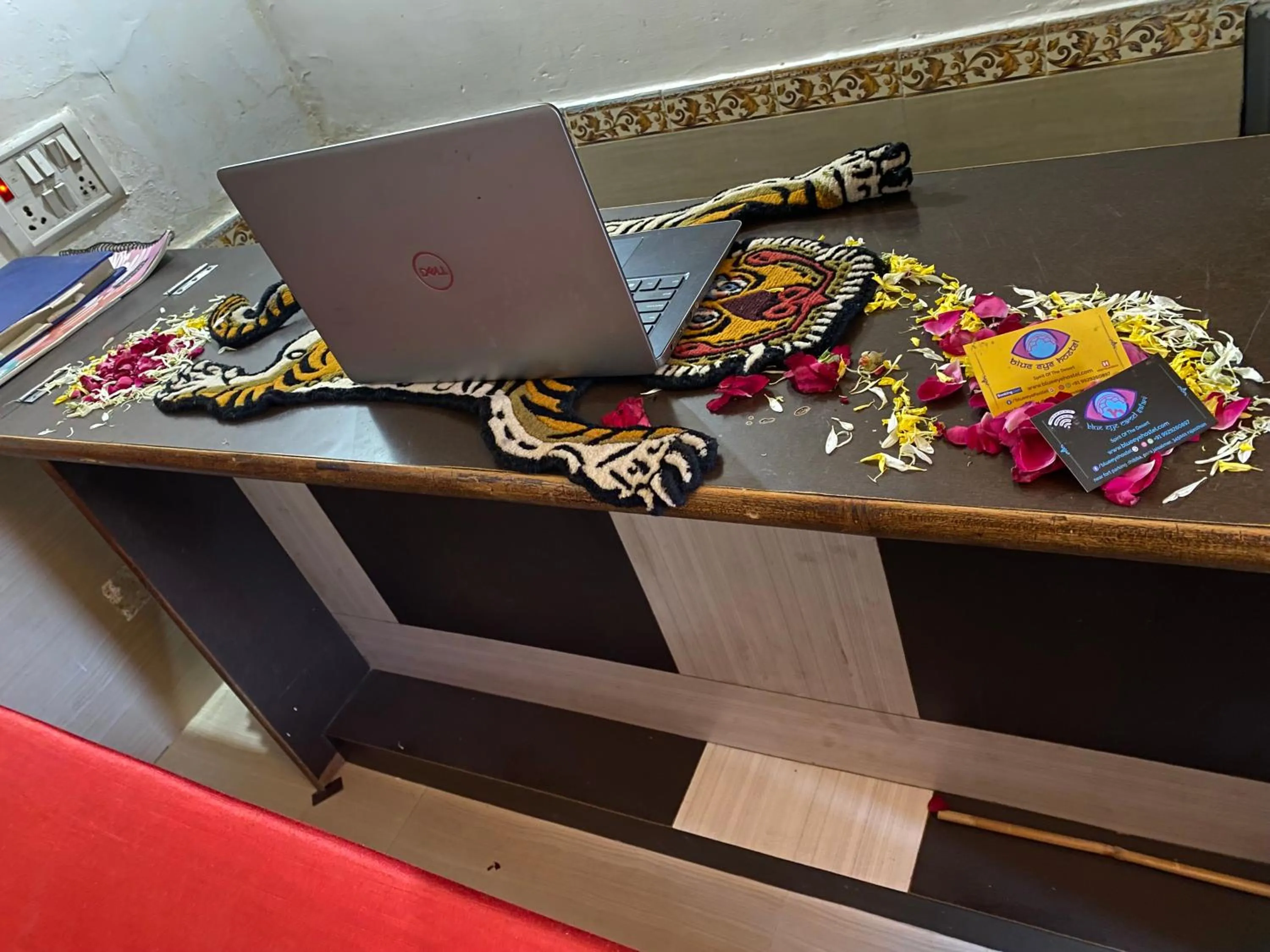 Day in Blue Eye Hostel