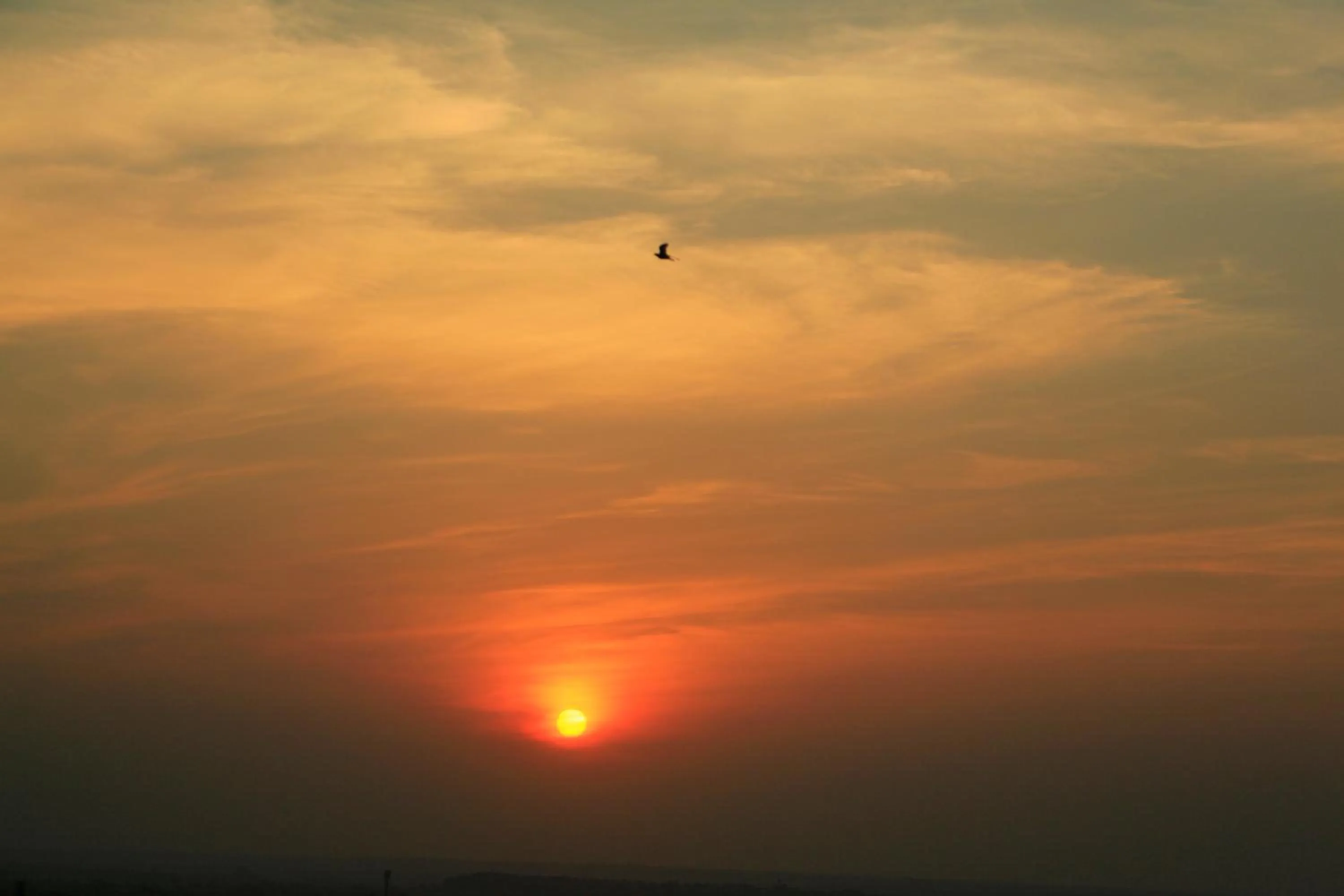 Evening entertainment in Blue Eye Hostel