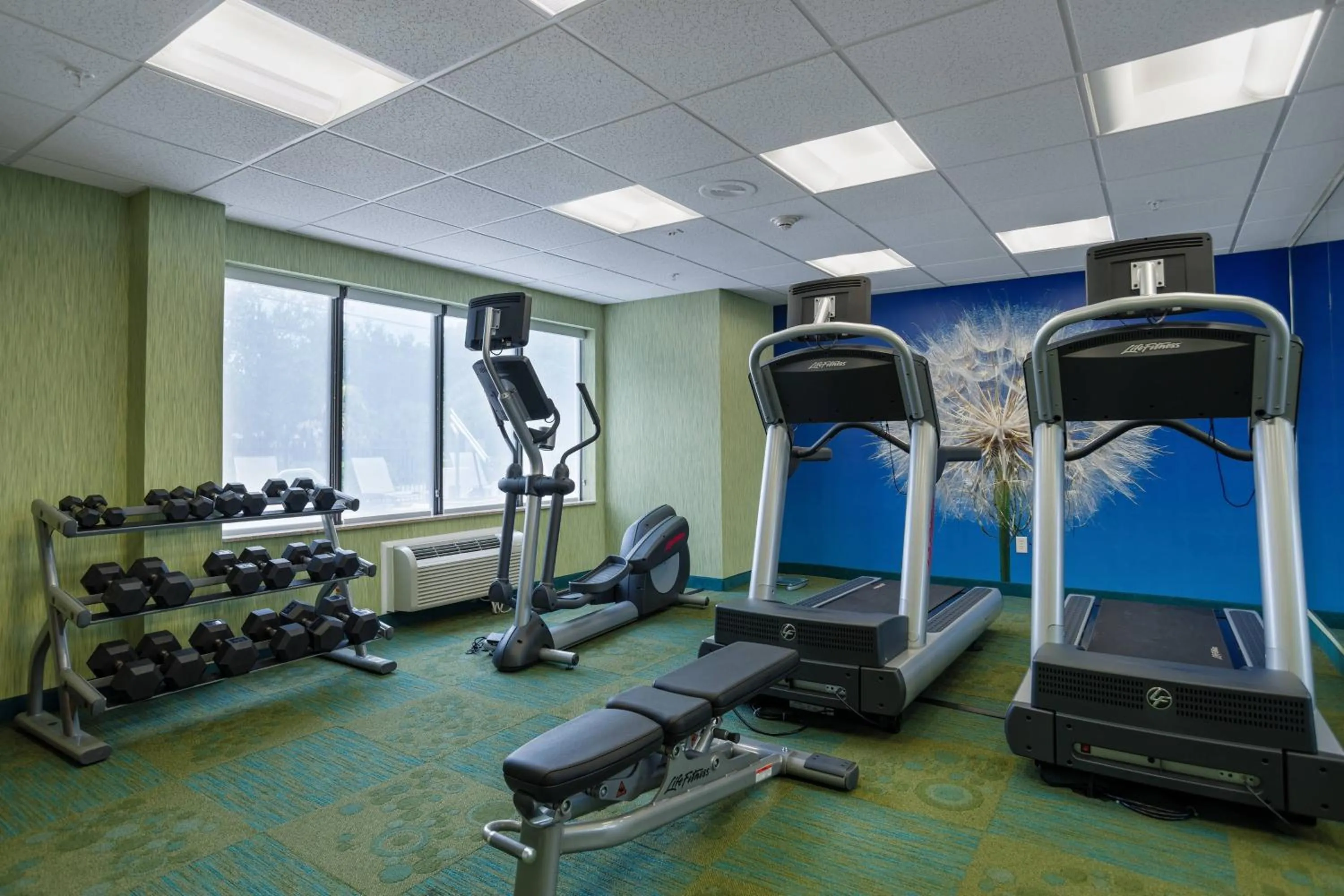 Fitness centre/facilities in SpringHill Suites St Petersburg Clearwater