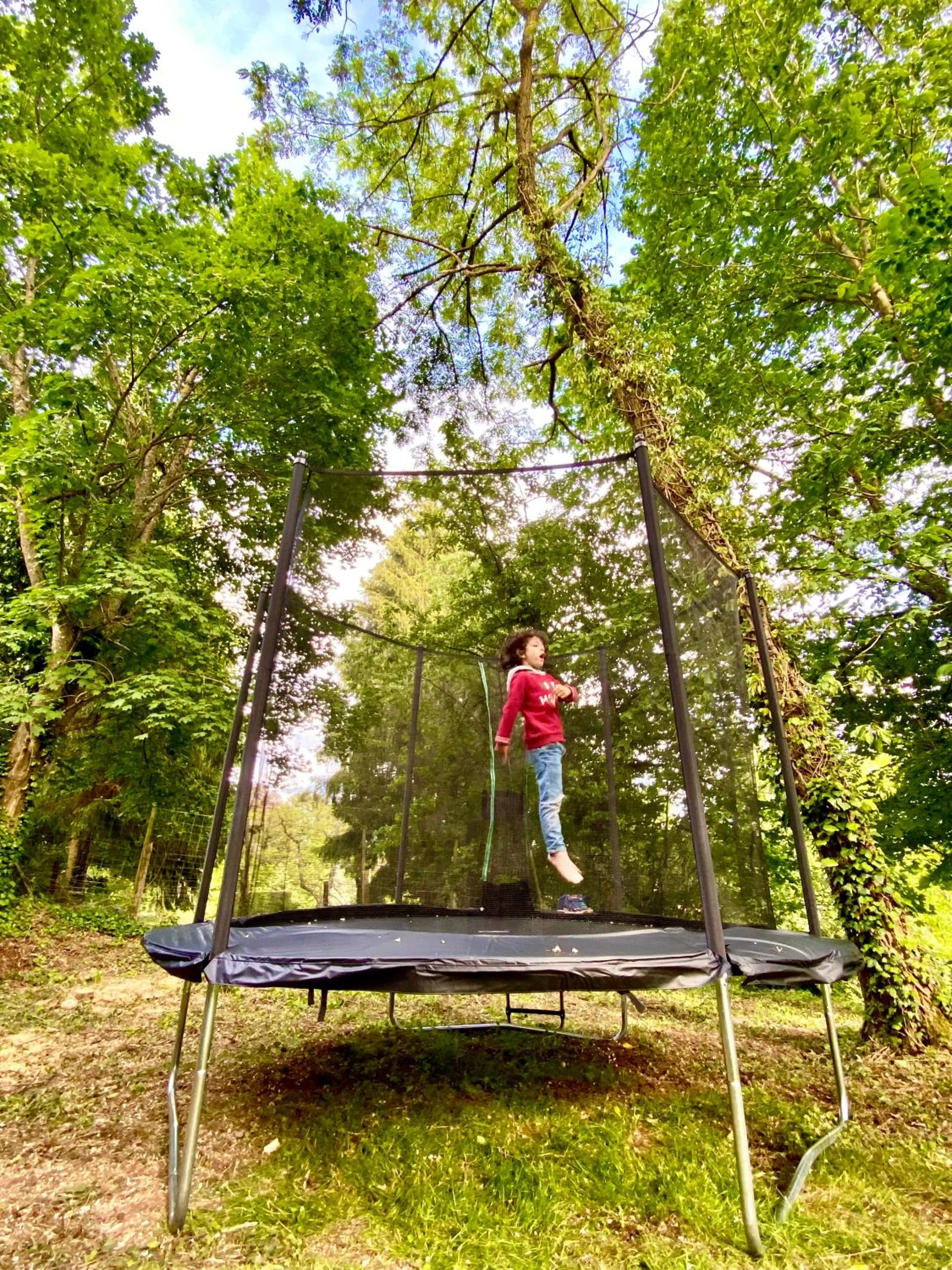 La Dependance de la Villa des Oiseaux - La Petite Pierre