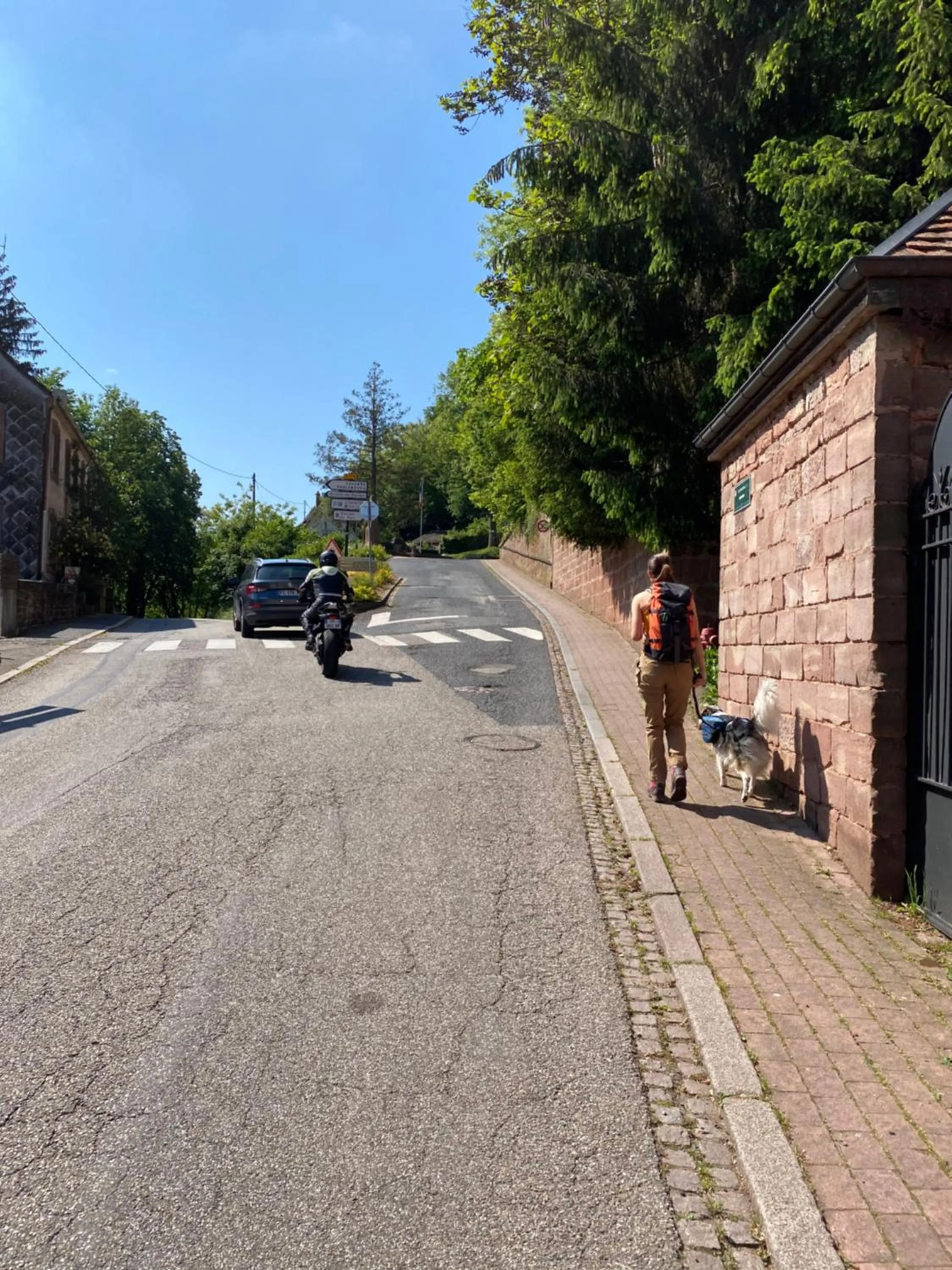 Neighbourhood in La Dependance de la Villa des Oiseaux - La Petite Pierre