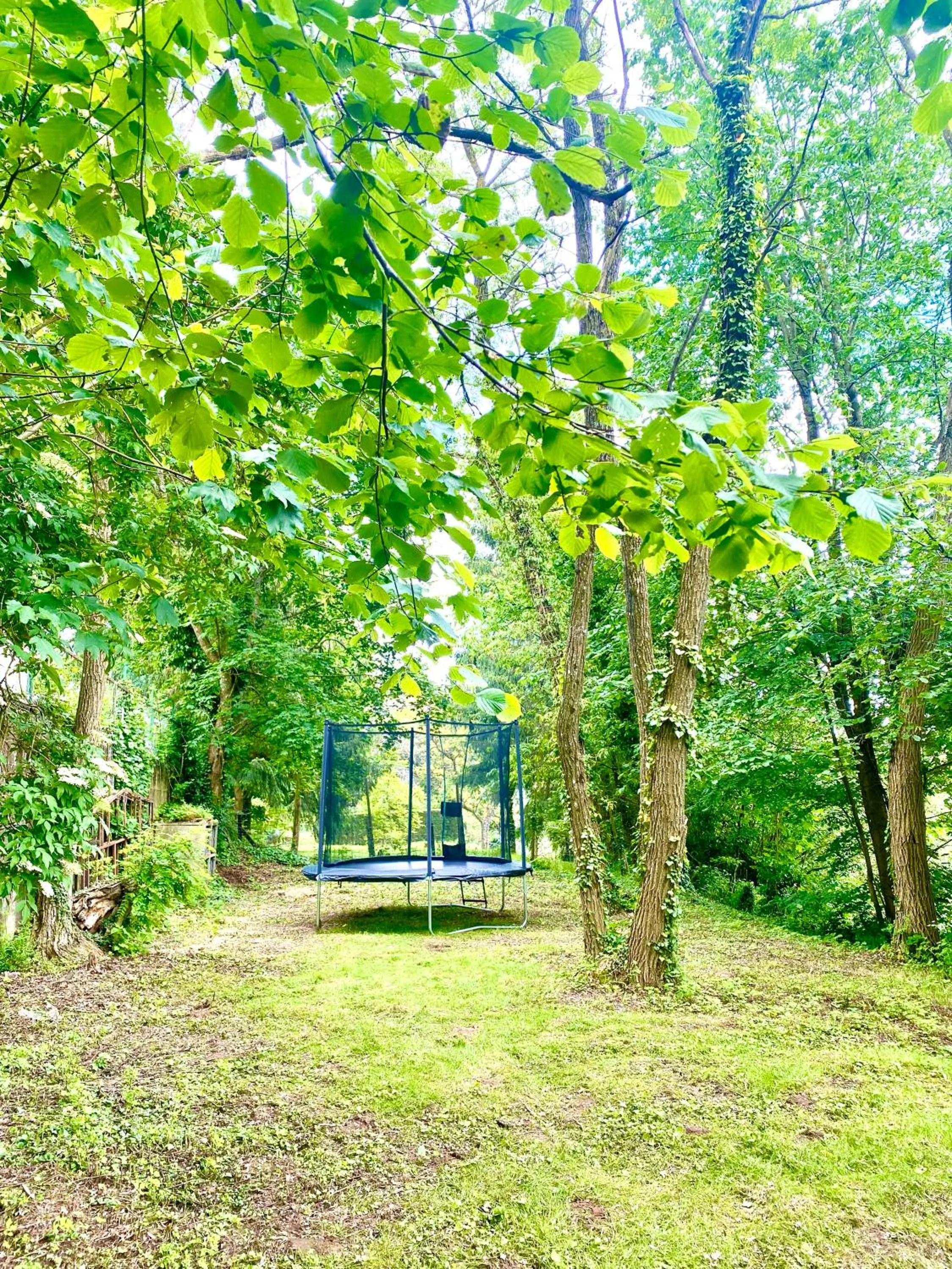 La Dependance de la Villa des Oiseaux - La Petite Pierre