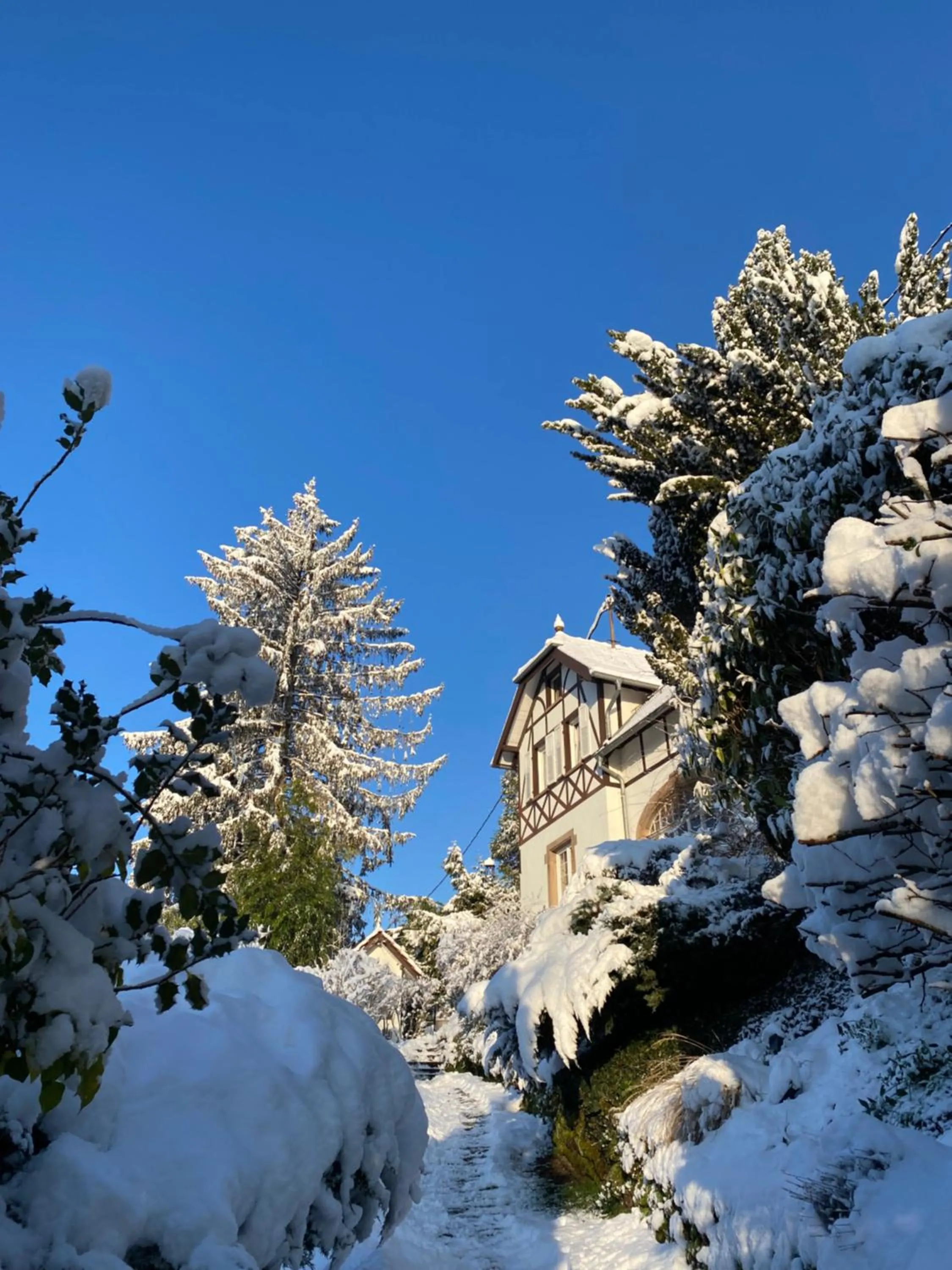 La Dependance de la Villa des Oiseaux - La Petite Pierre
