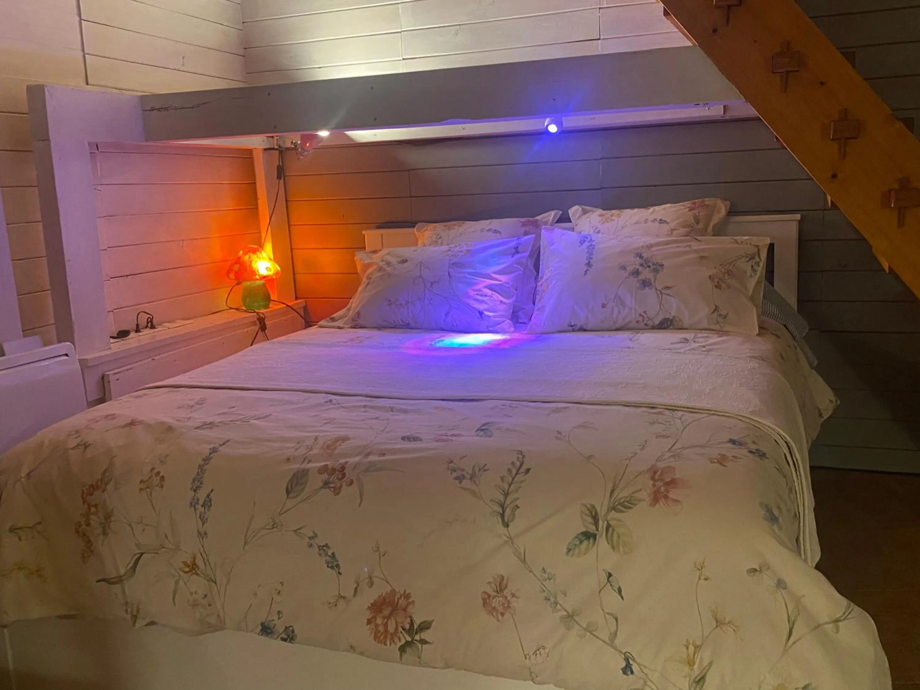 Bed in La Dependance de la Villa des Oiseaux - La Petite Pierre