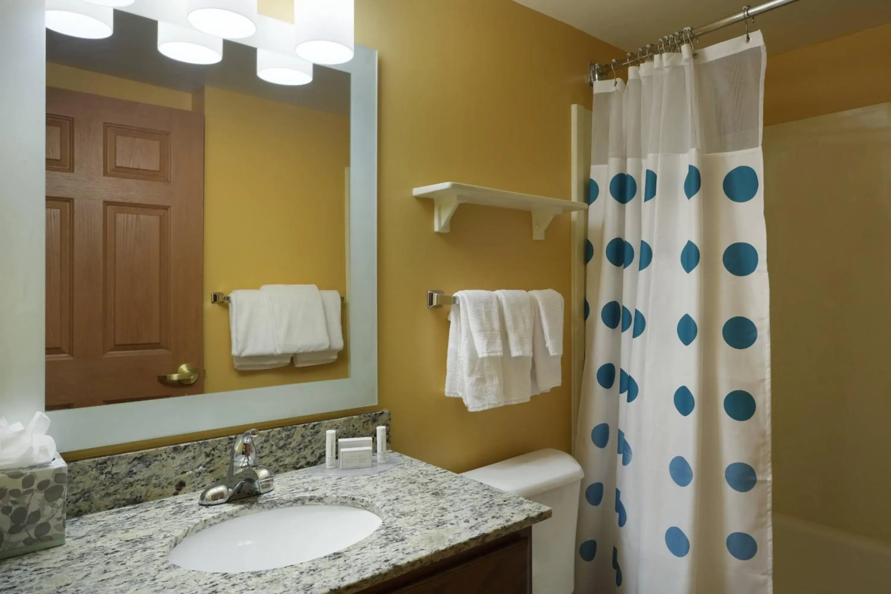 Queen Studio - Mobility Accessible in MainStay Suites Tampa Moffitt-USF Queen Studio - Mobility Accessible in MainStay Suites Tampa Moffitt-USF