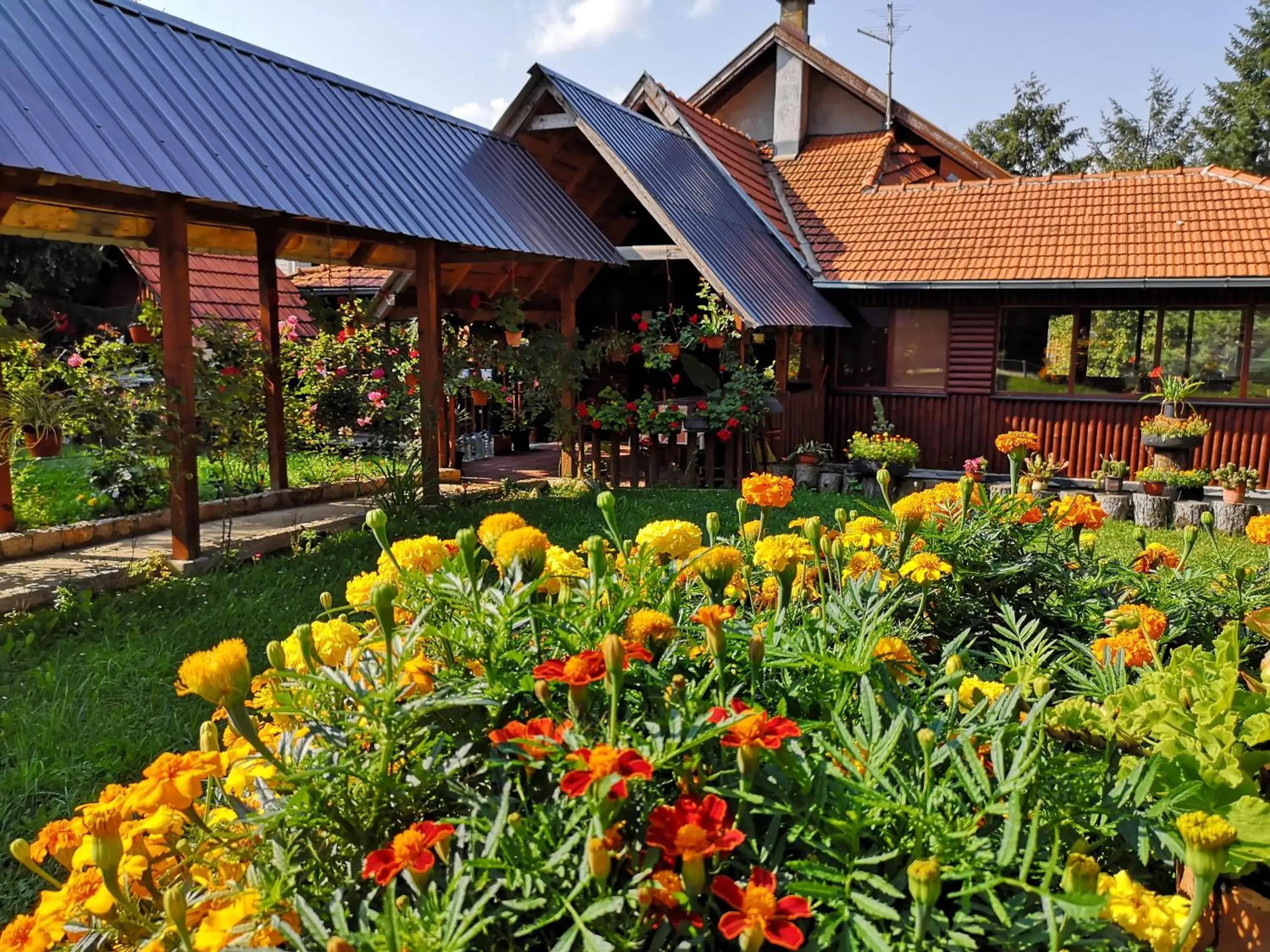 Guesthouse Ramović Guesthouse Ramović