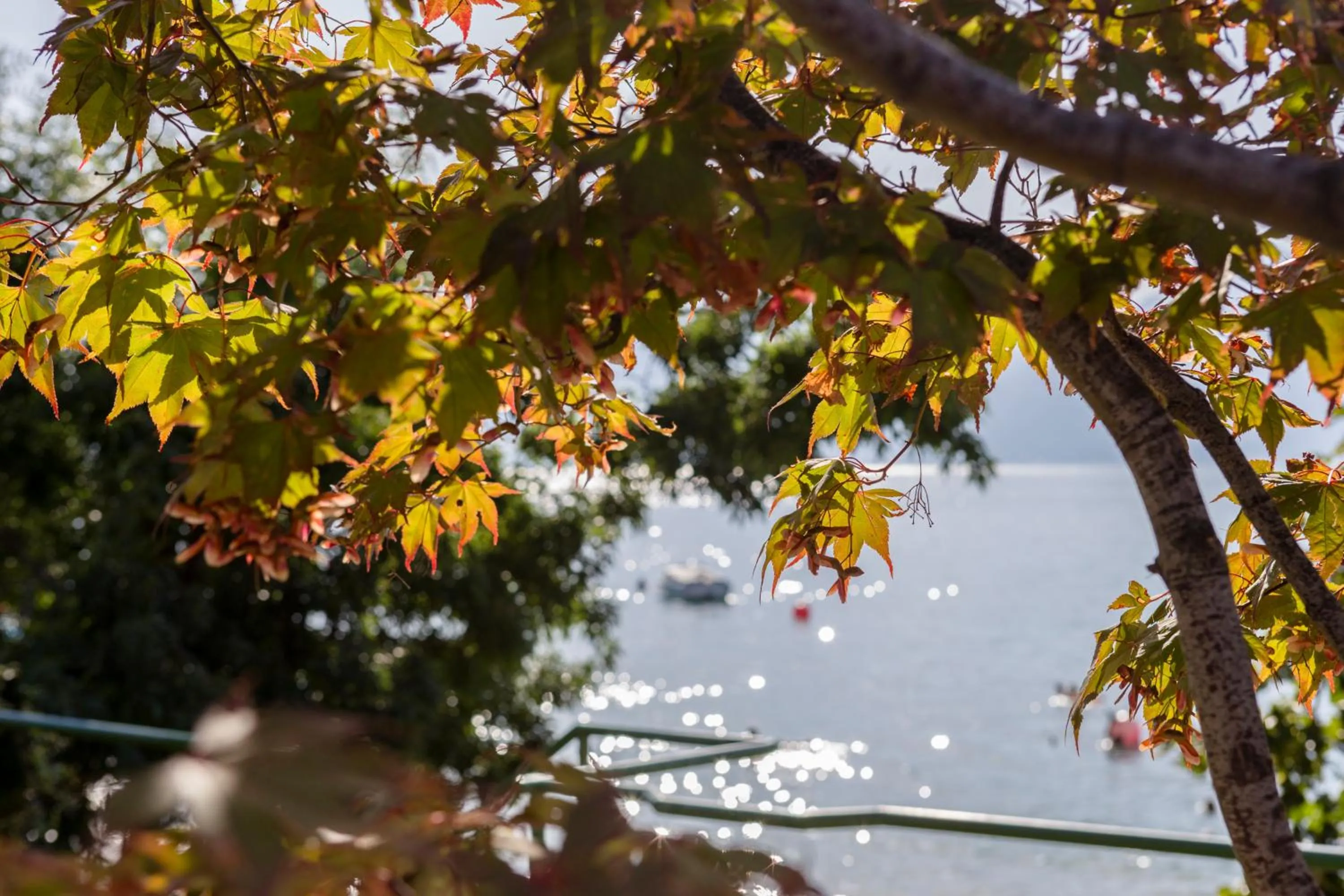 Balcony/Terrace in La Caletta Hotel Bolognese