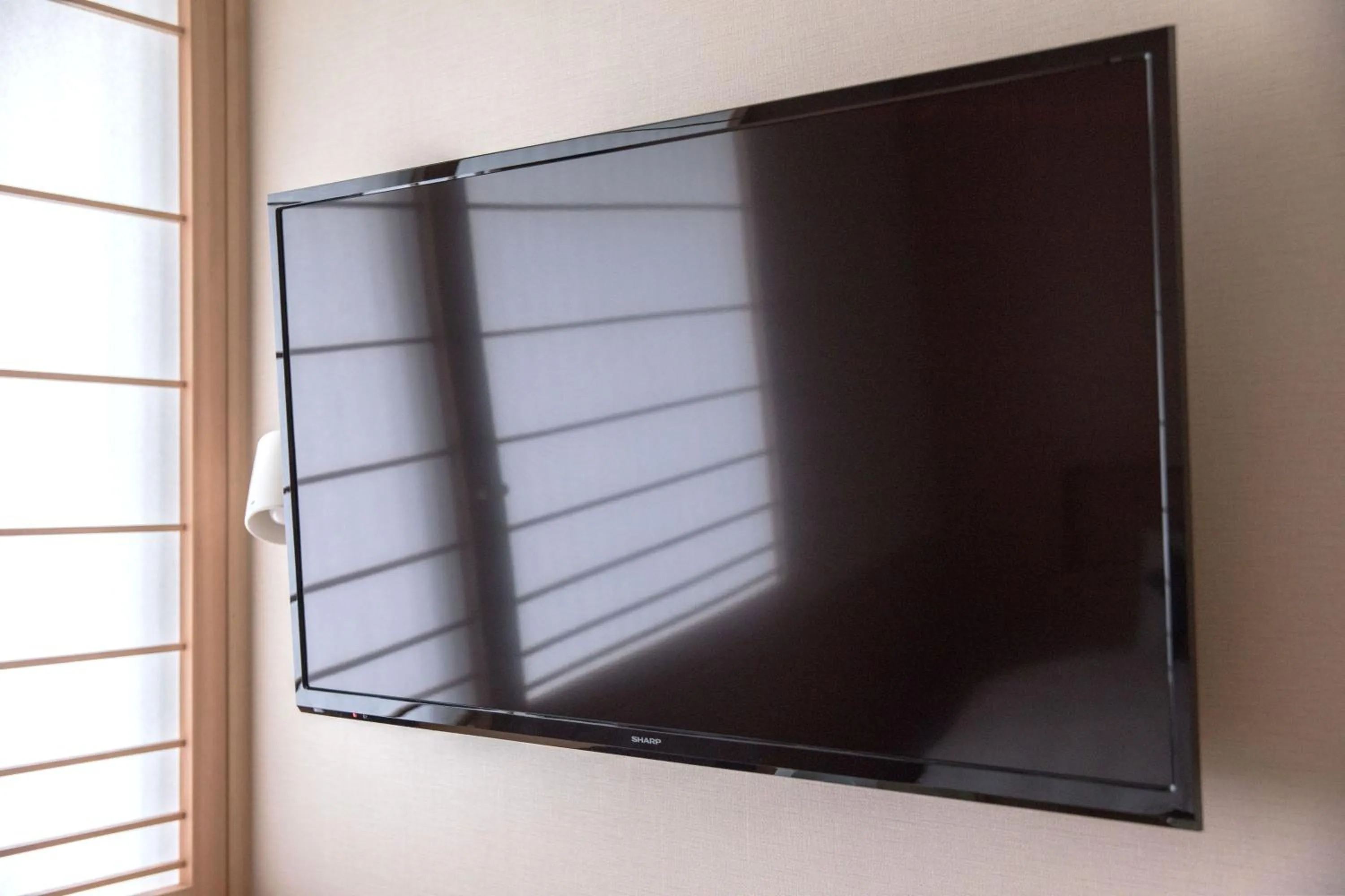 TV and multimedia in Number 6 Nijo