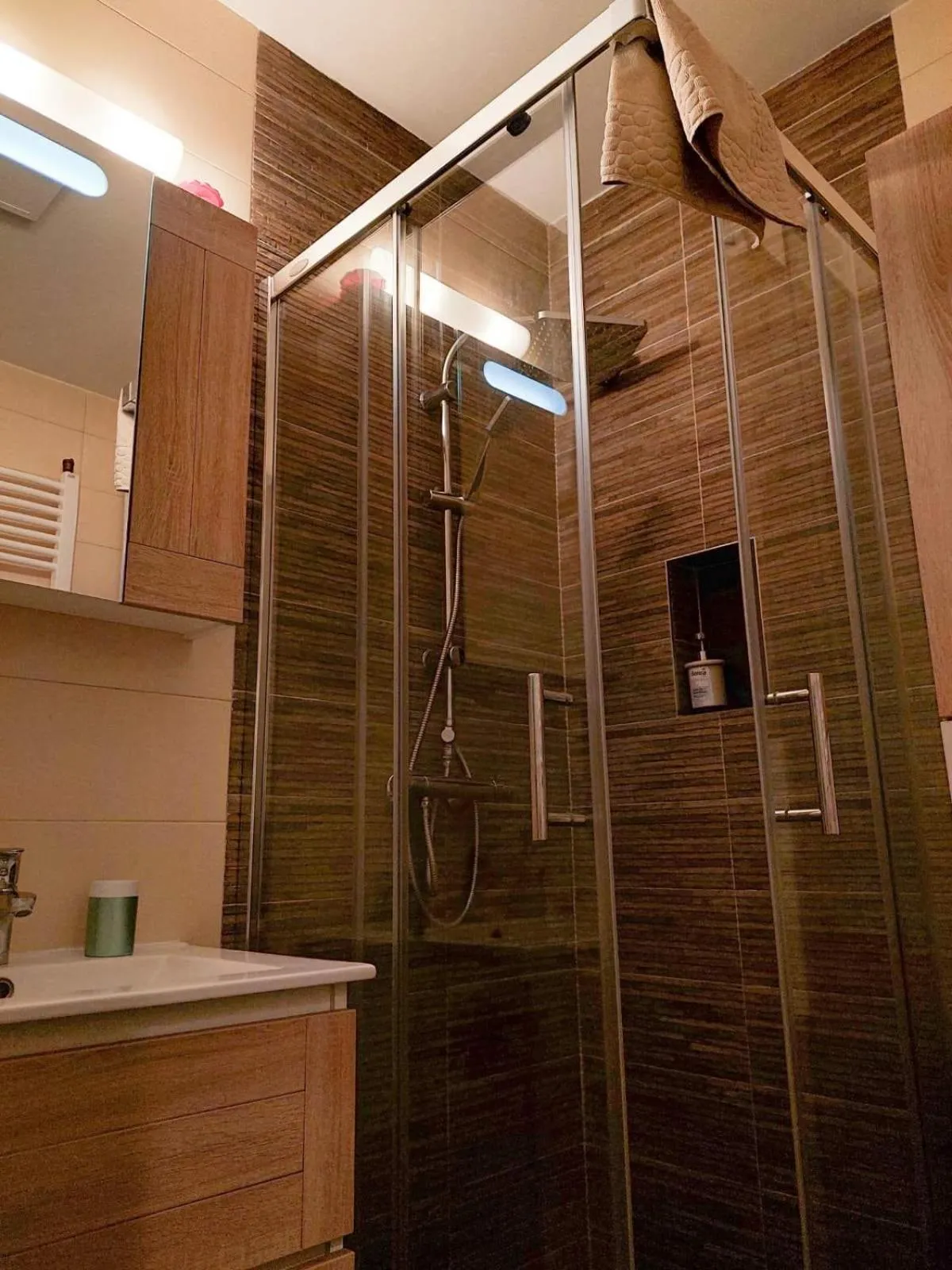 Shower in Flat Kosutnjak 9