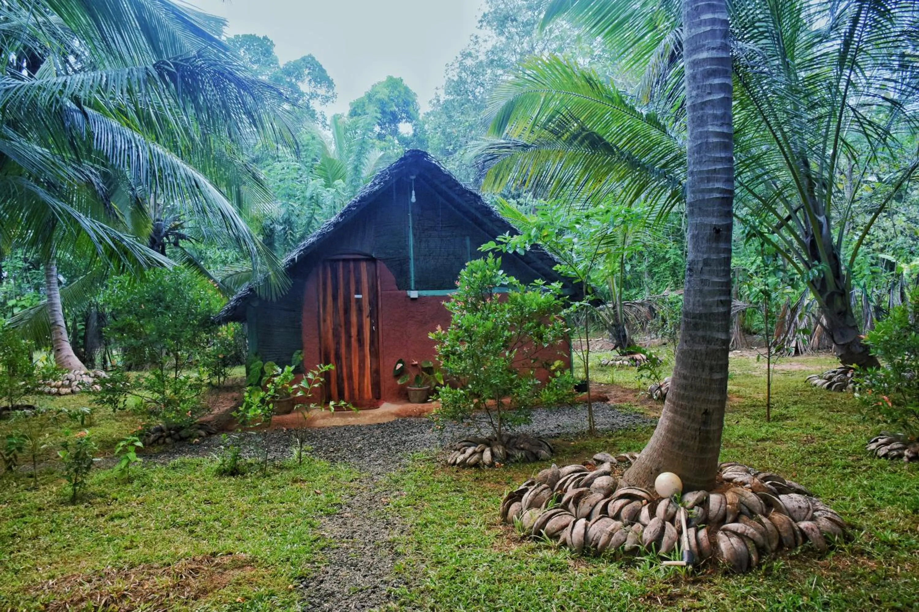 Family Room with Private Bathroom - single occupancy in Passion Ray Villa & Tree Hut