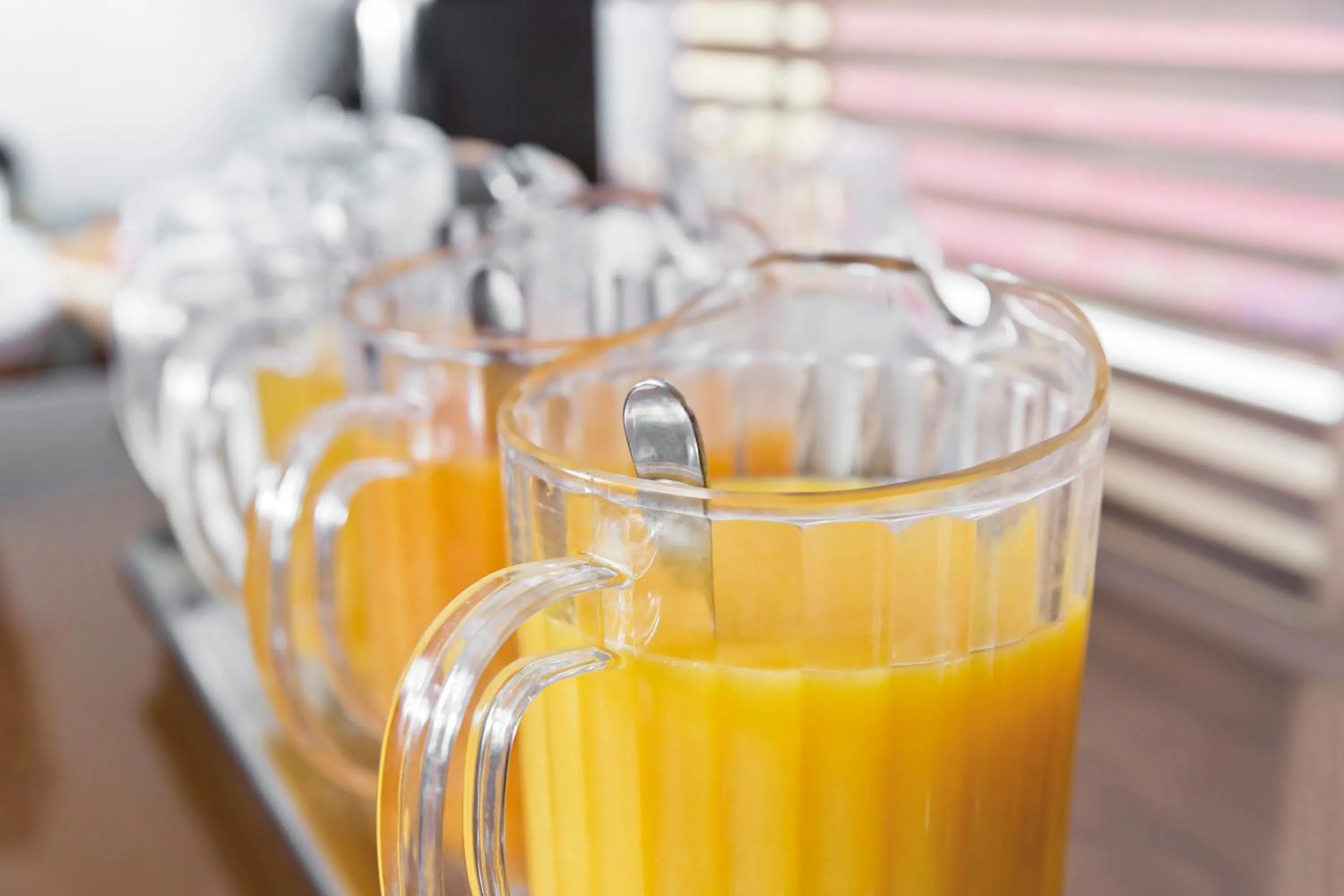 Food and drinks in Hotel Fuente El Cura