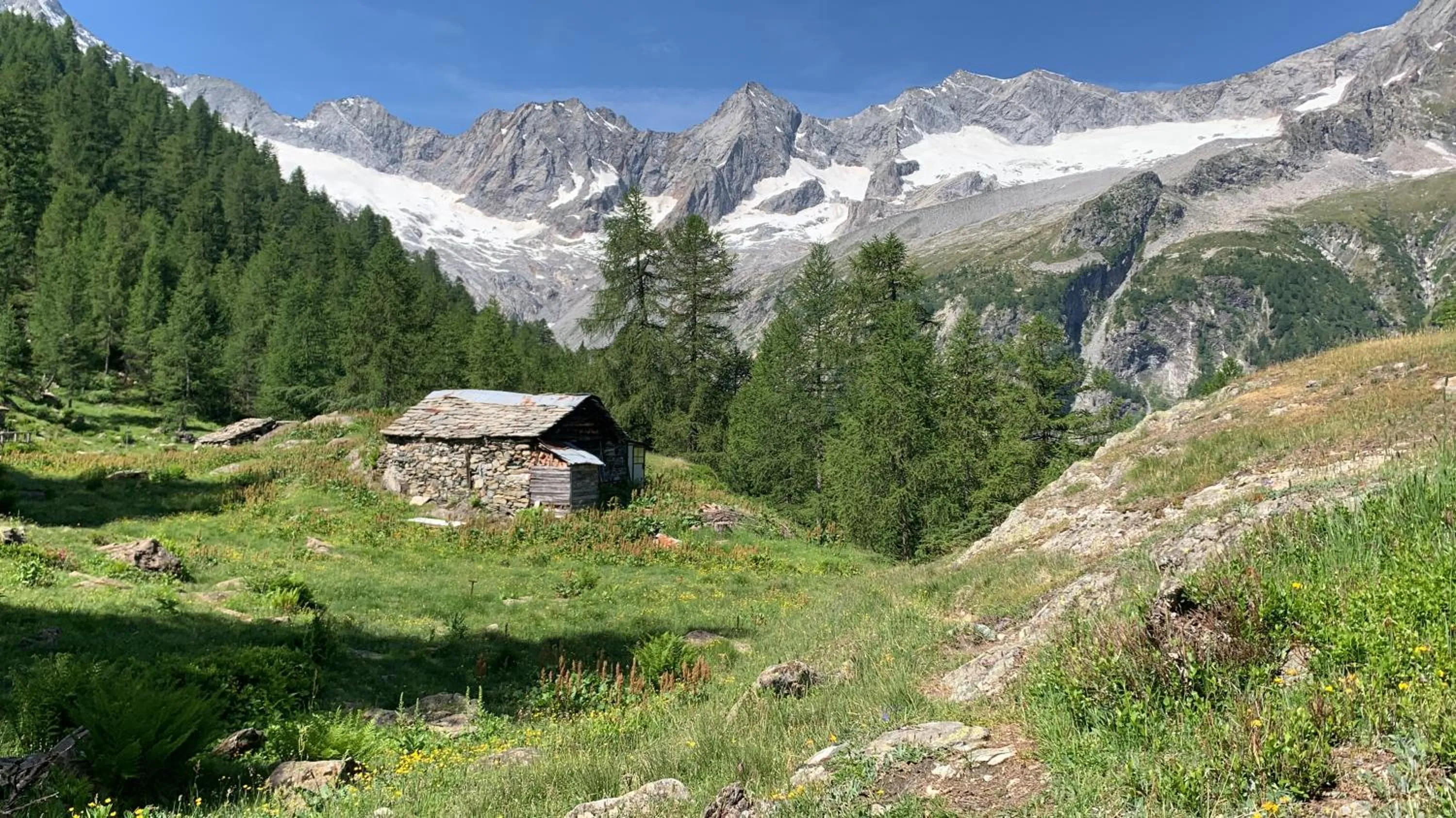 Natural landscape in B&B Ca' Erminia