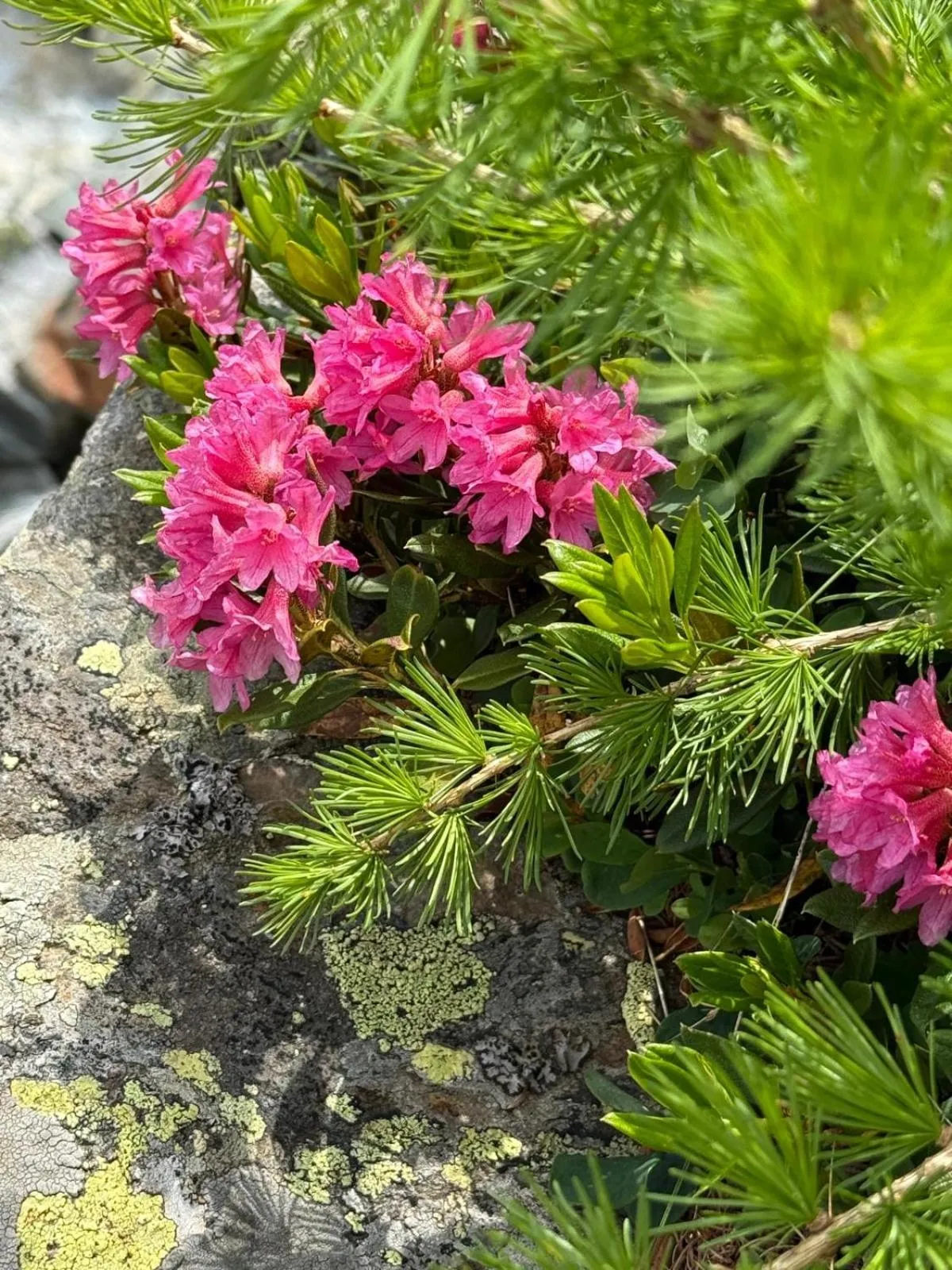 Natural landscape in B&B Ca' Erminia
