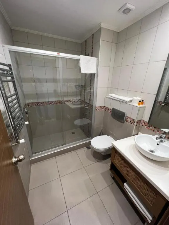 Toilet in Flower Palace Hotel