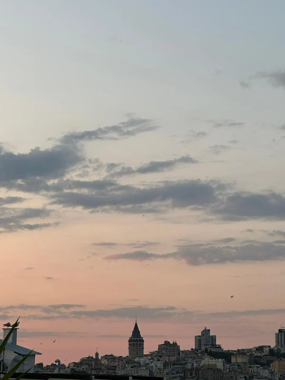 Balcony/Terrace in Flower Palace Hotel