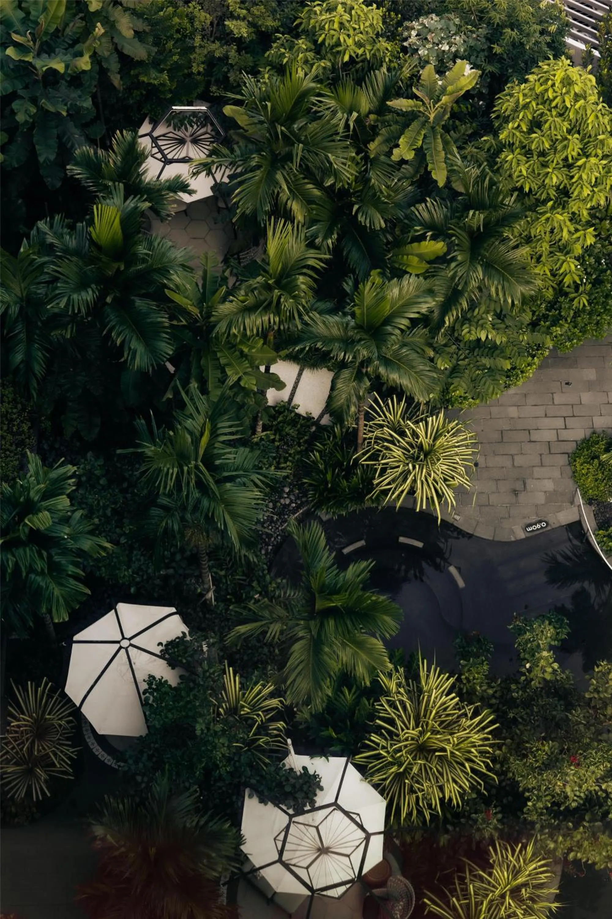 Swimming pool in Grand Hyatt Singapore