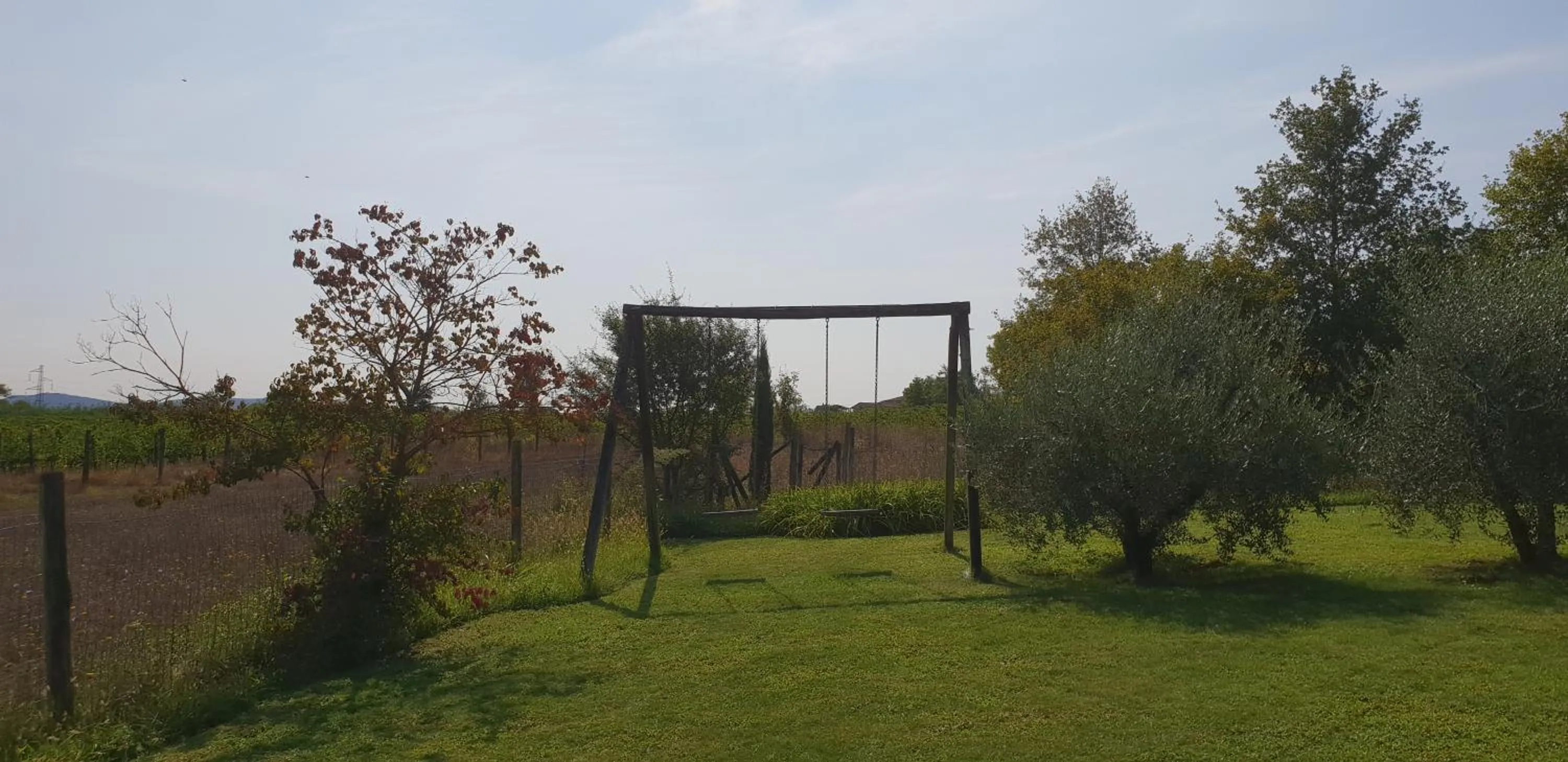Activities in Agriturismo Il Sole Verde