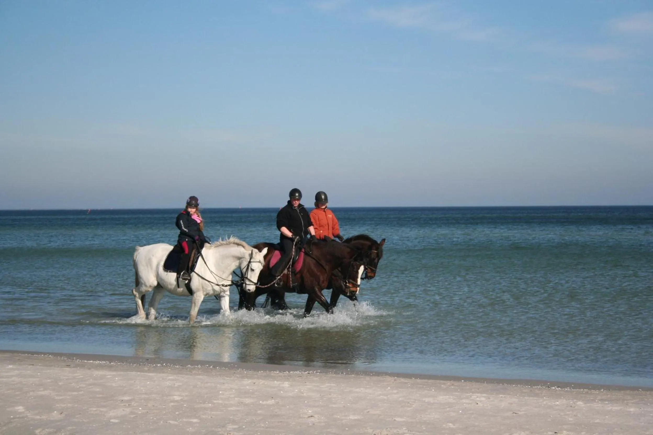 Horse-riding in Villa Strandblick 8