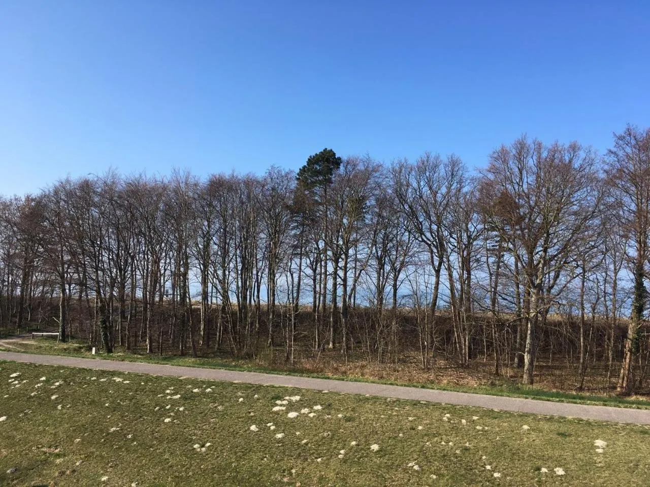 Sea view in Villa Strandblick 8