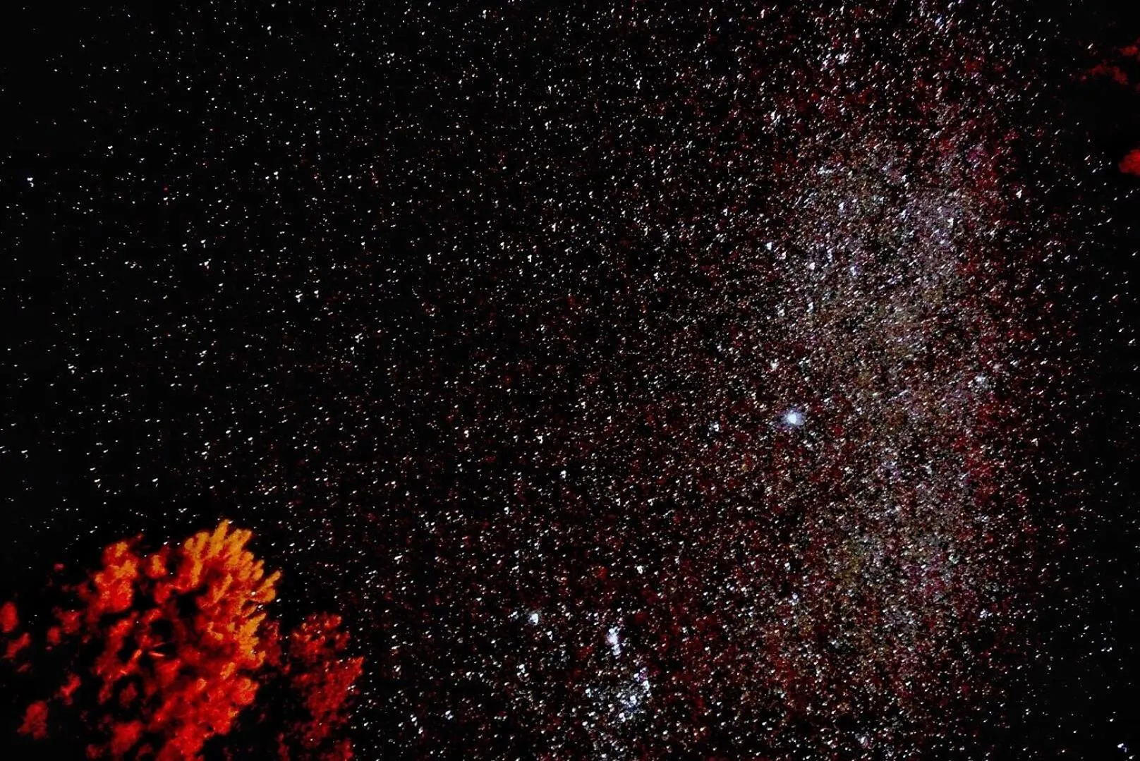 Natural landscape in Lake Ruataniwha Holiday Park