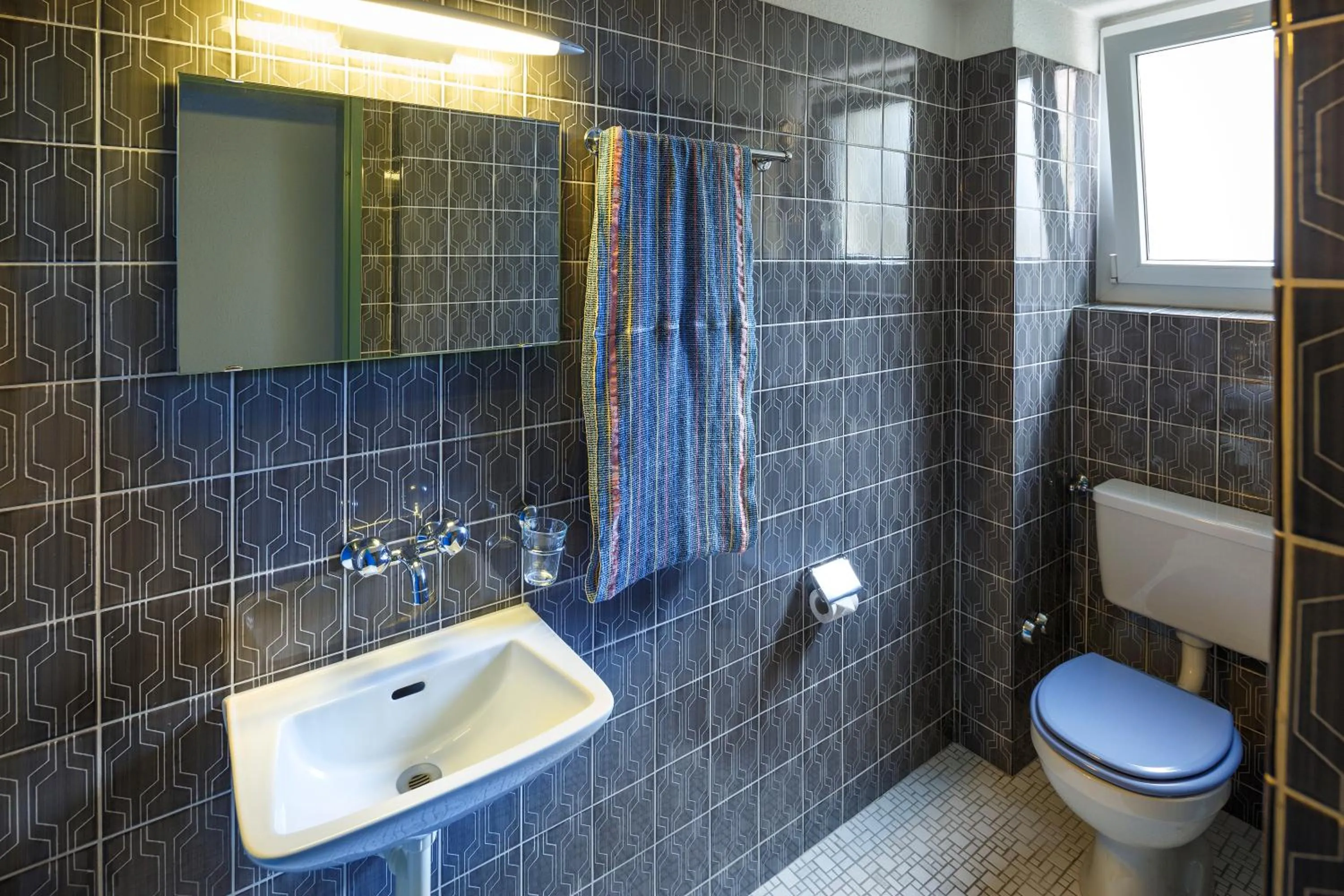 Toilet in Residence zum Löwen