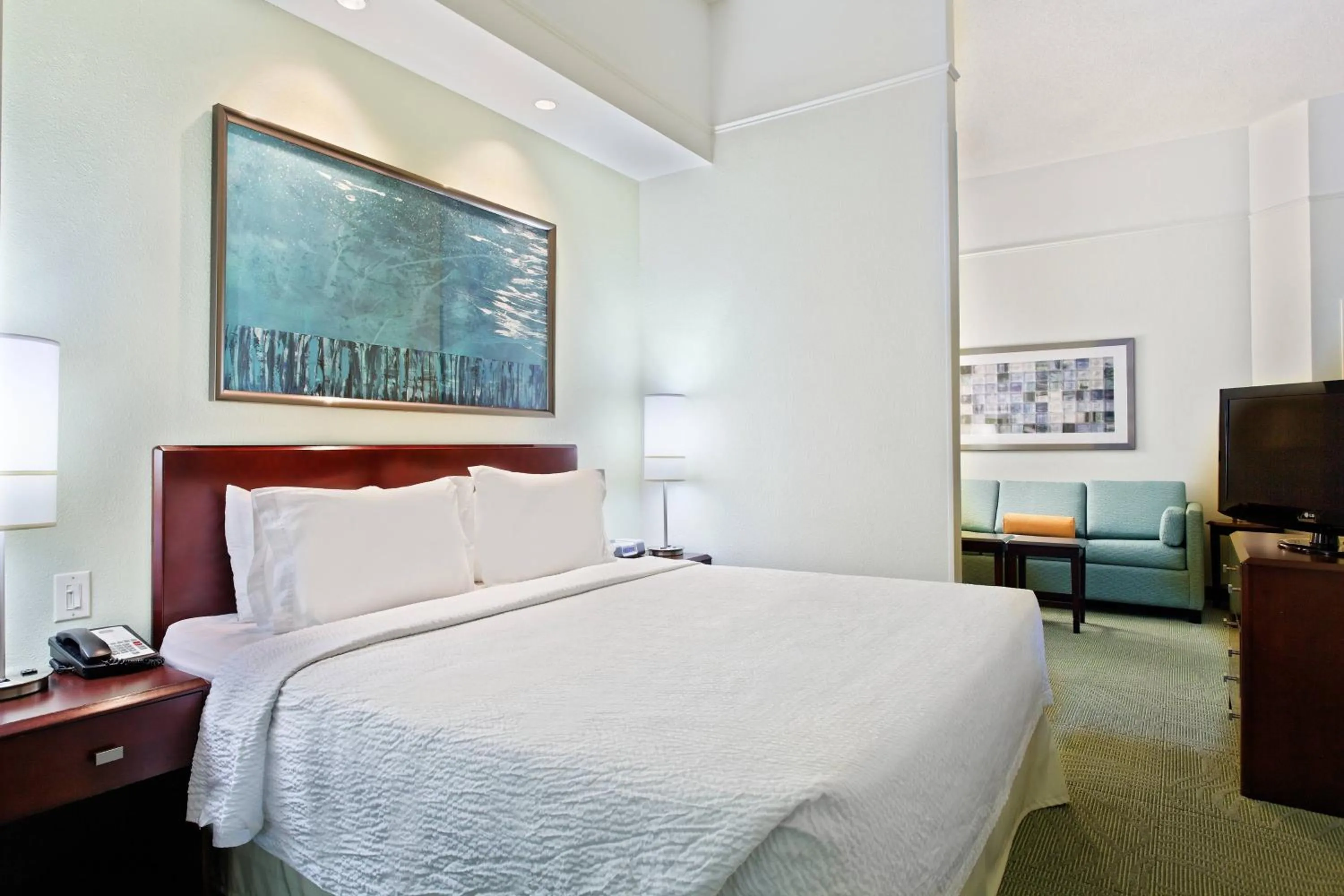 Photo of the whole room, Bed in SpringHill Suites Knoxville At Turkey Creek